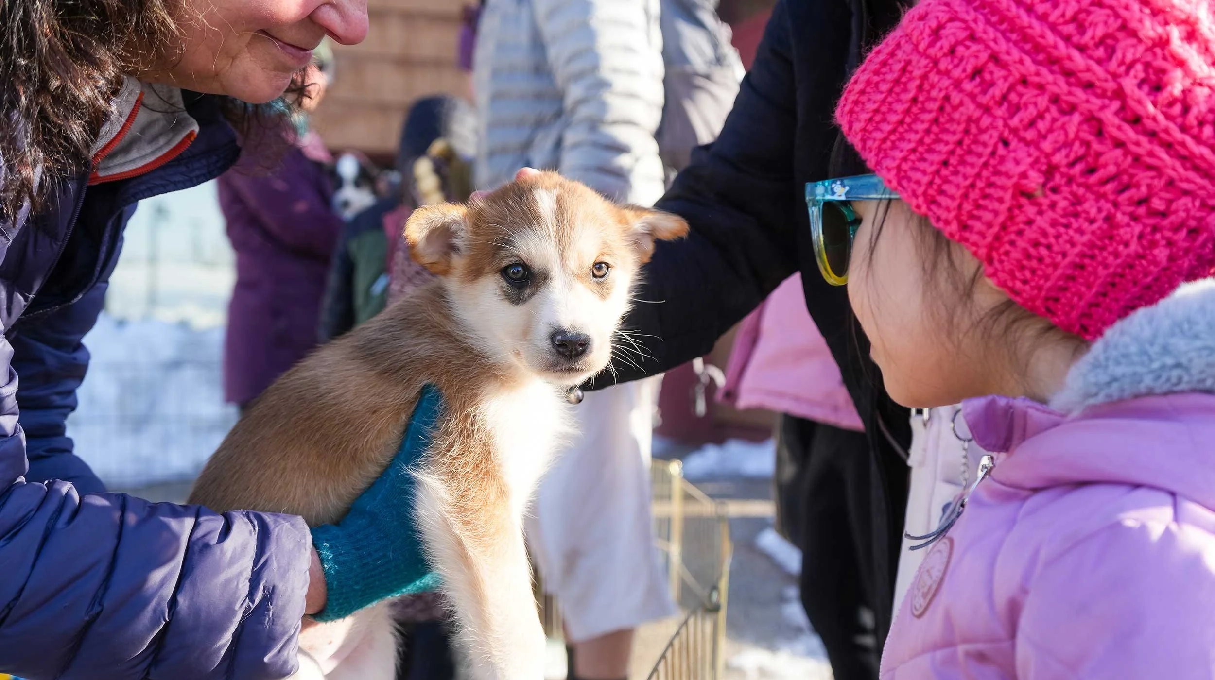 Mush for kids dog and child