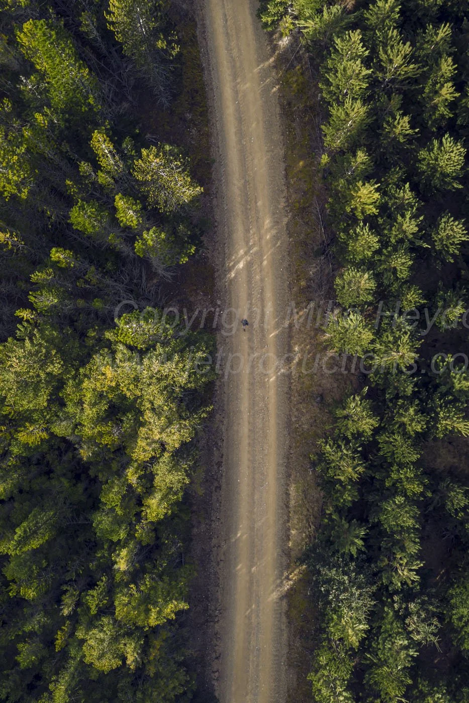 Photo credit: mike@jetproductions.co.nz