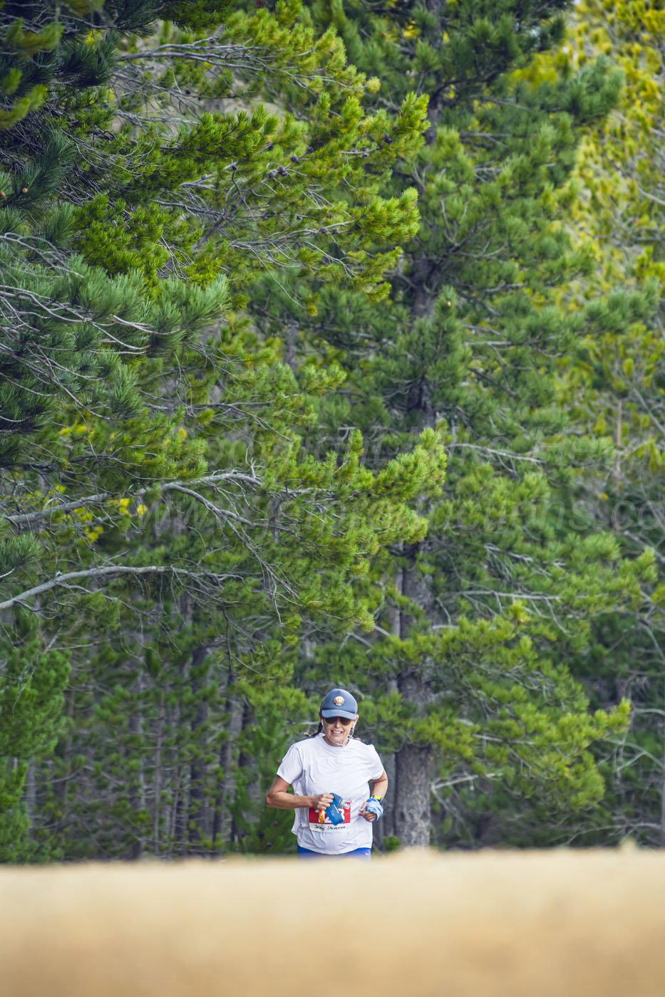 Photo credit: mike@jetproductions.co.nz