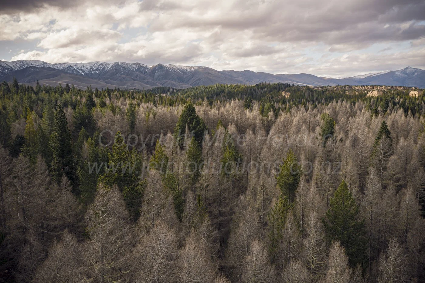 Photo credit: mike@jetproductions.co.nz
