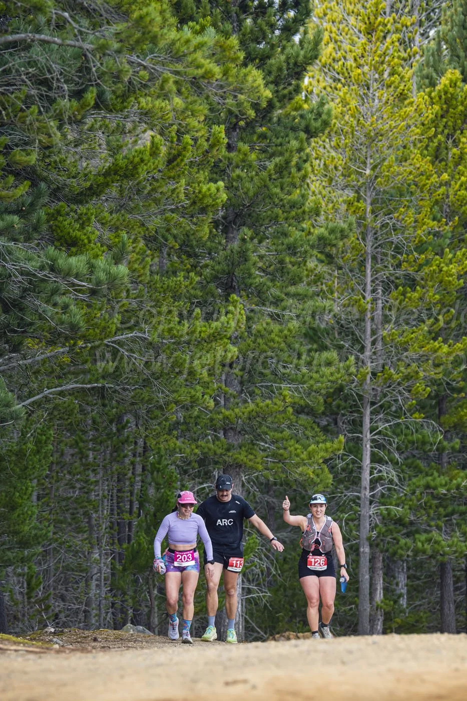 Photo credit: mike@jetproductions.co.nz