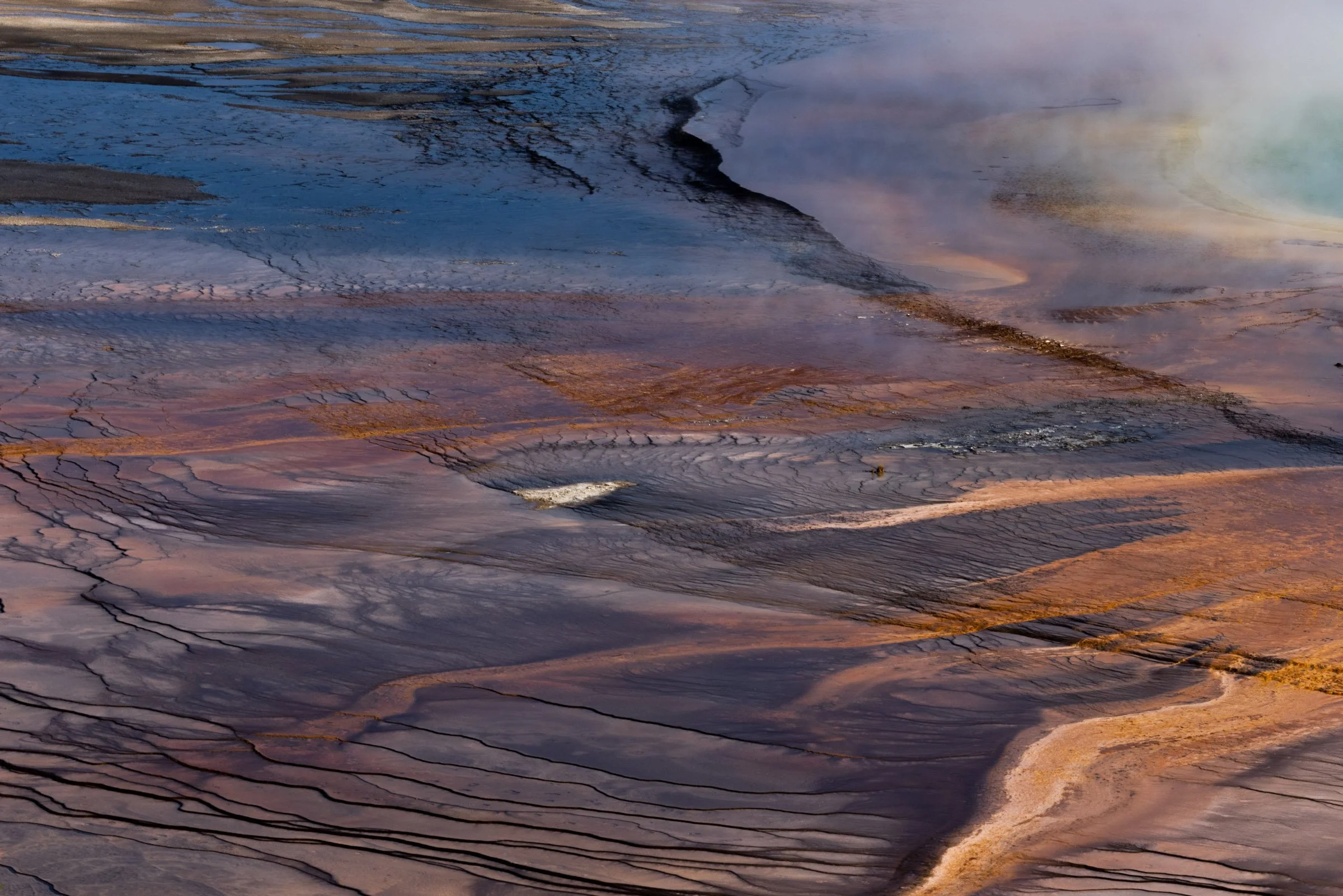Prismatic Spring

Nominee
reFocus Photographer of the Year
Category: Nature
Level: Non-Professional