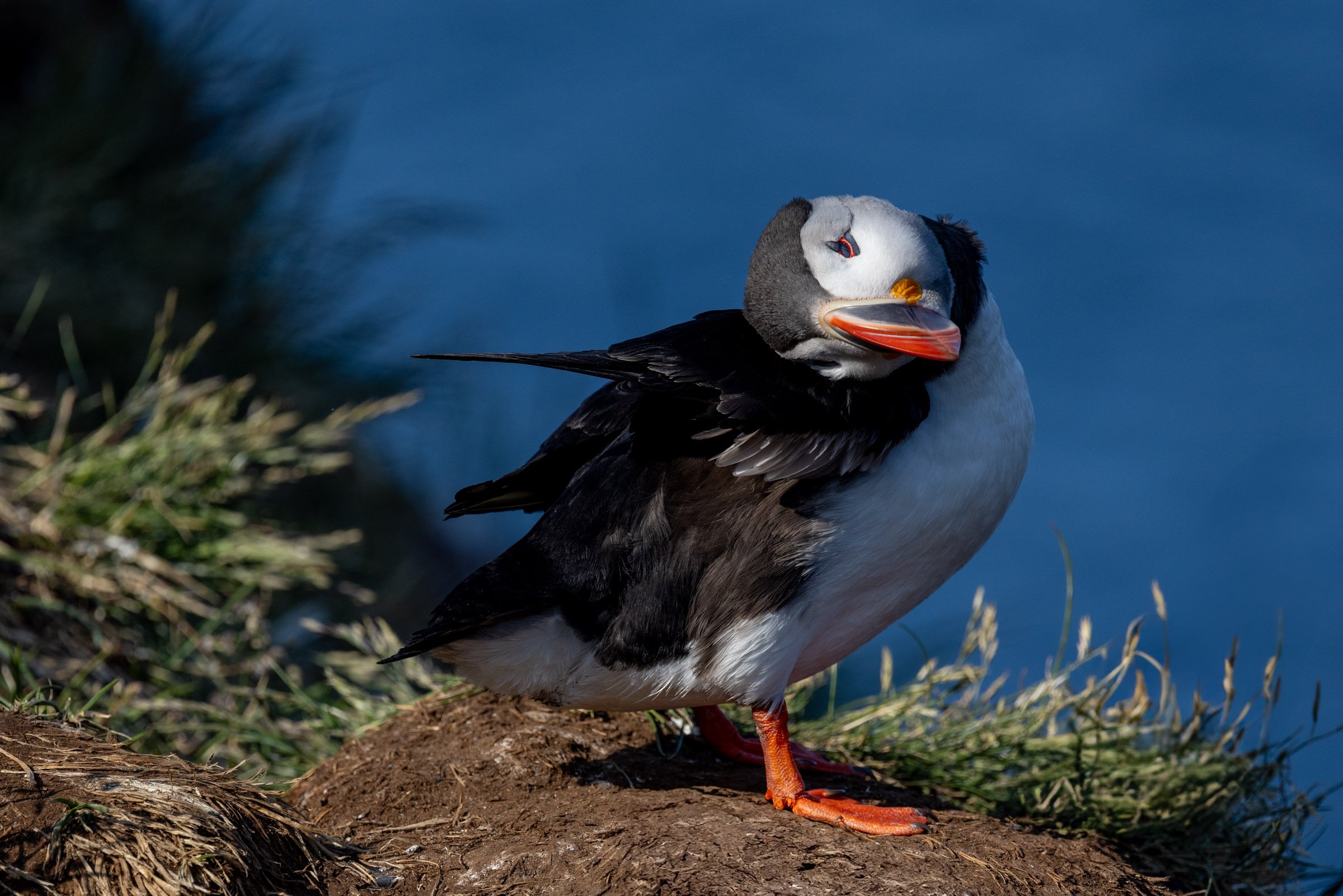 _T9A8446-3.jpg