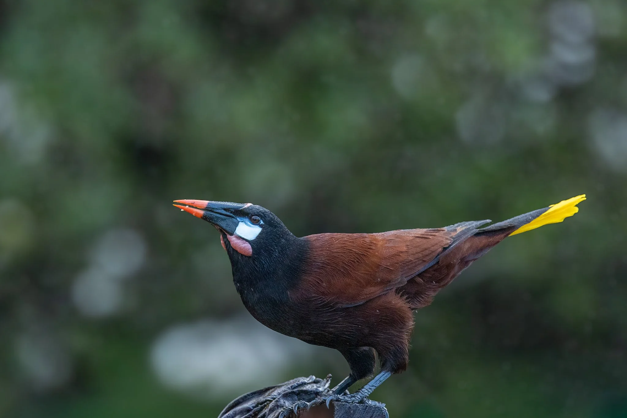 _X2A3626-WEB EXPORT PRESET-2.jpg