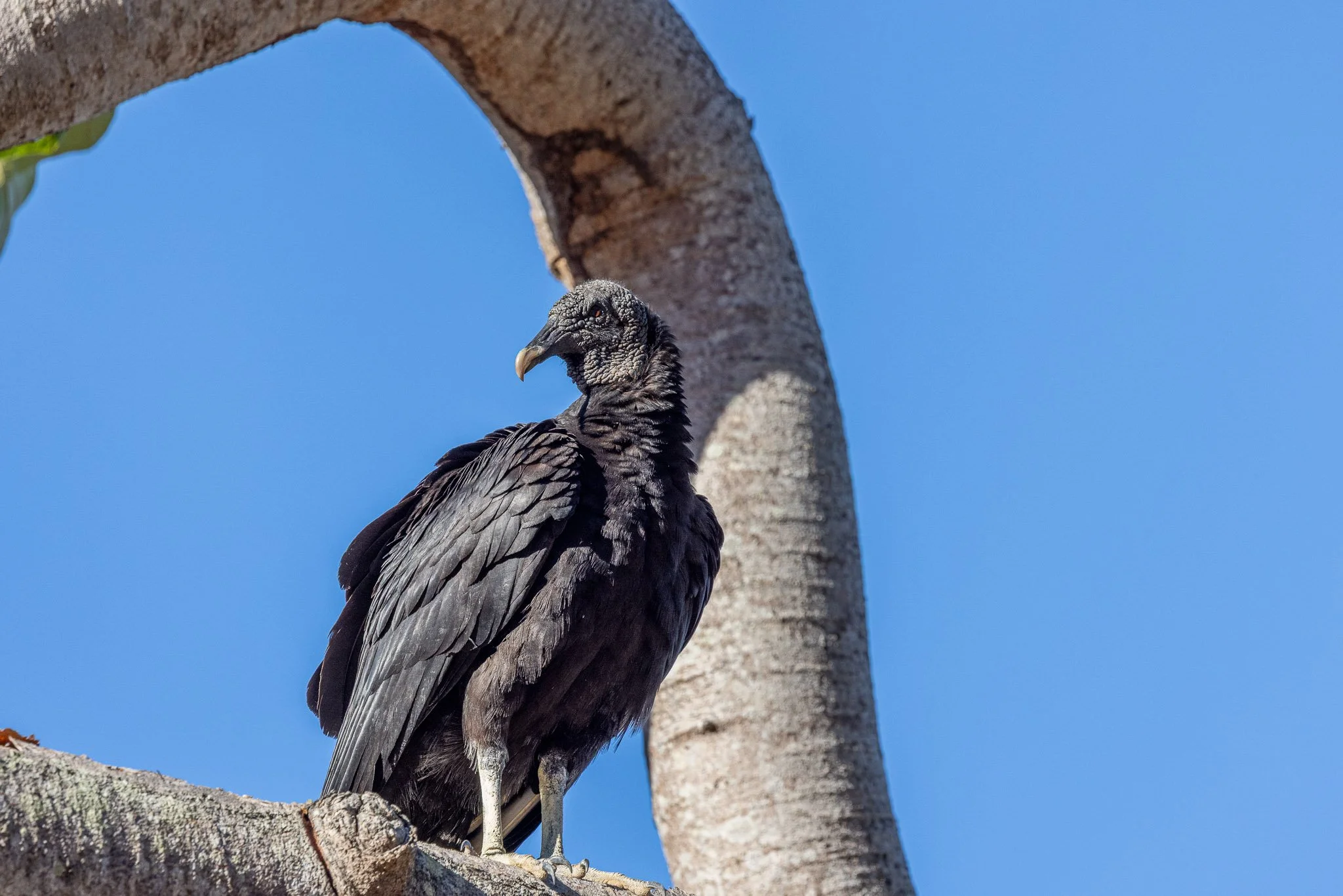 _X2A7698-WEB EXPORT PRESET-2.jpg