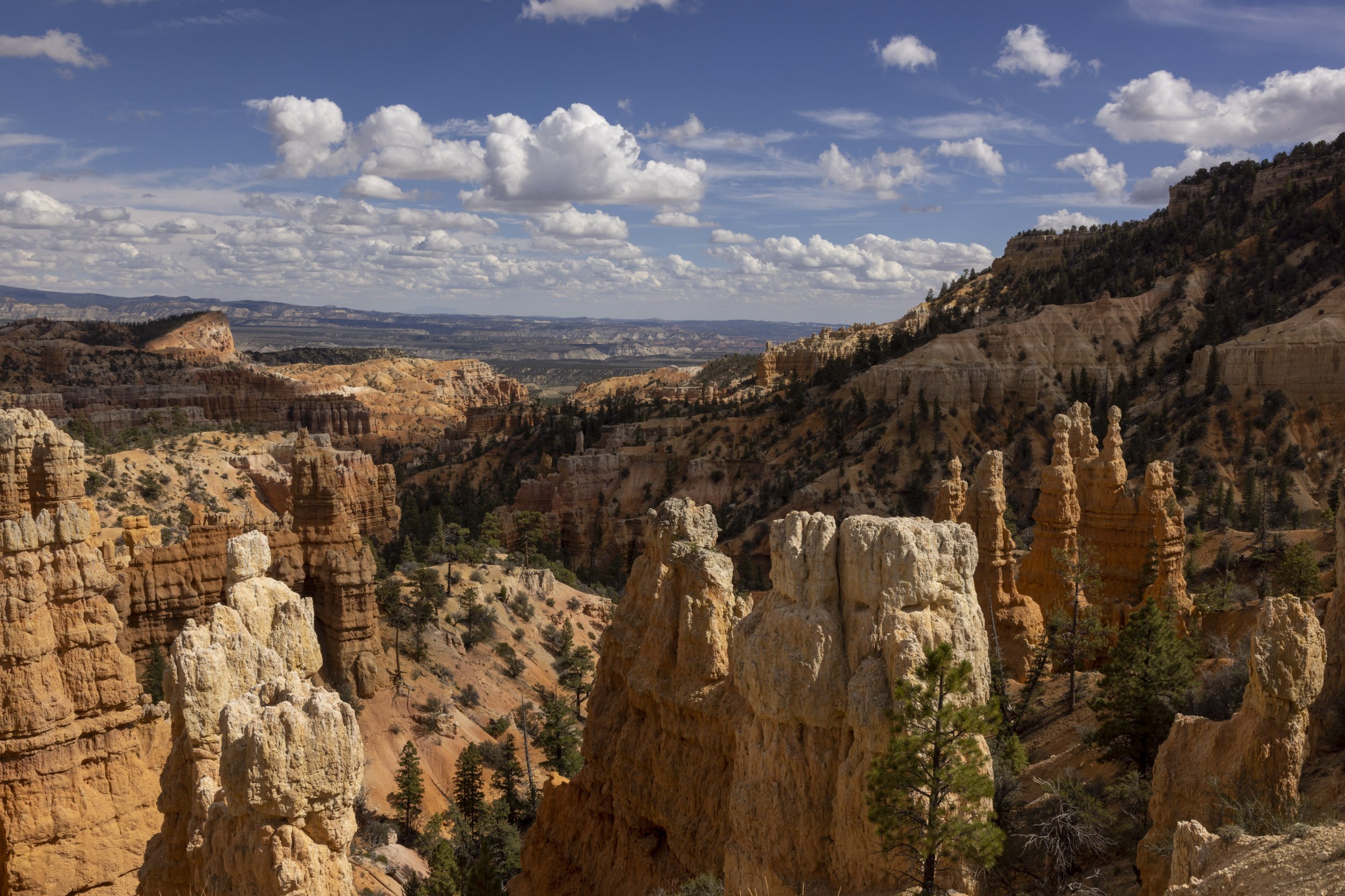 21. Bryce Canyon National Park, Framed 22”x 28" $695.00