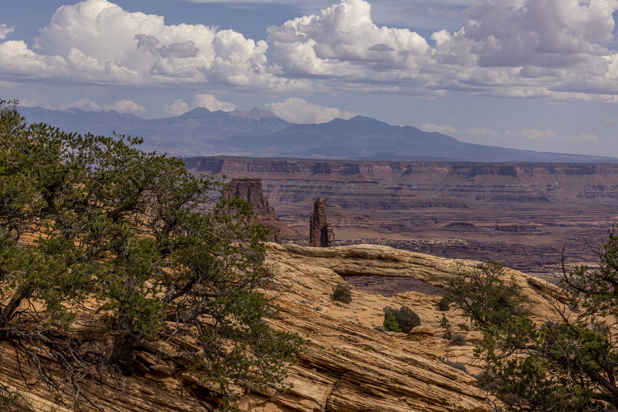 14. Canyonlands National Park, Framed 22”x 28" $695.00