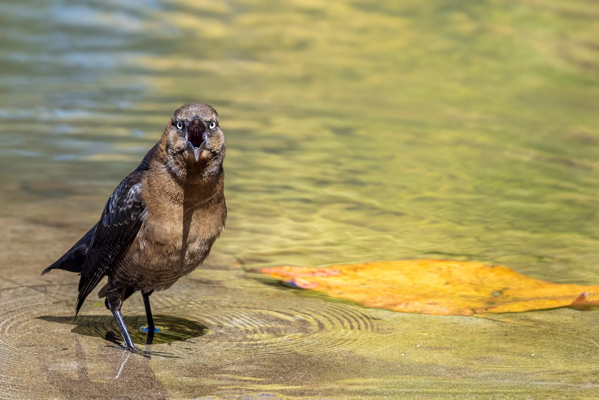 _X2A1464-WEB EXPORT PRESET-3.jpg