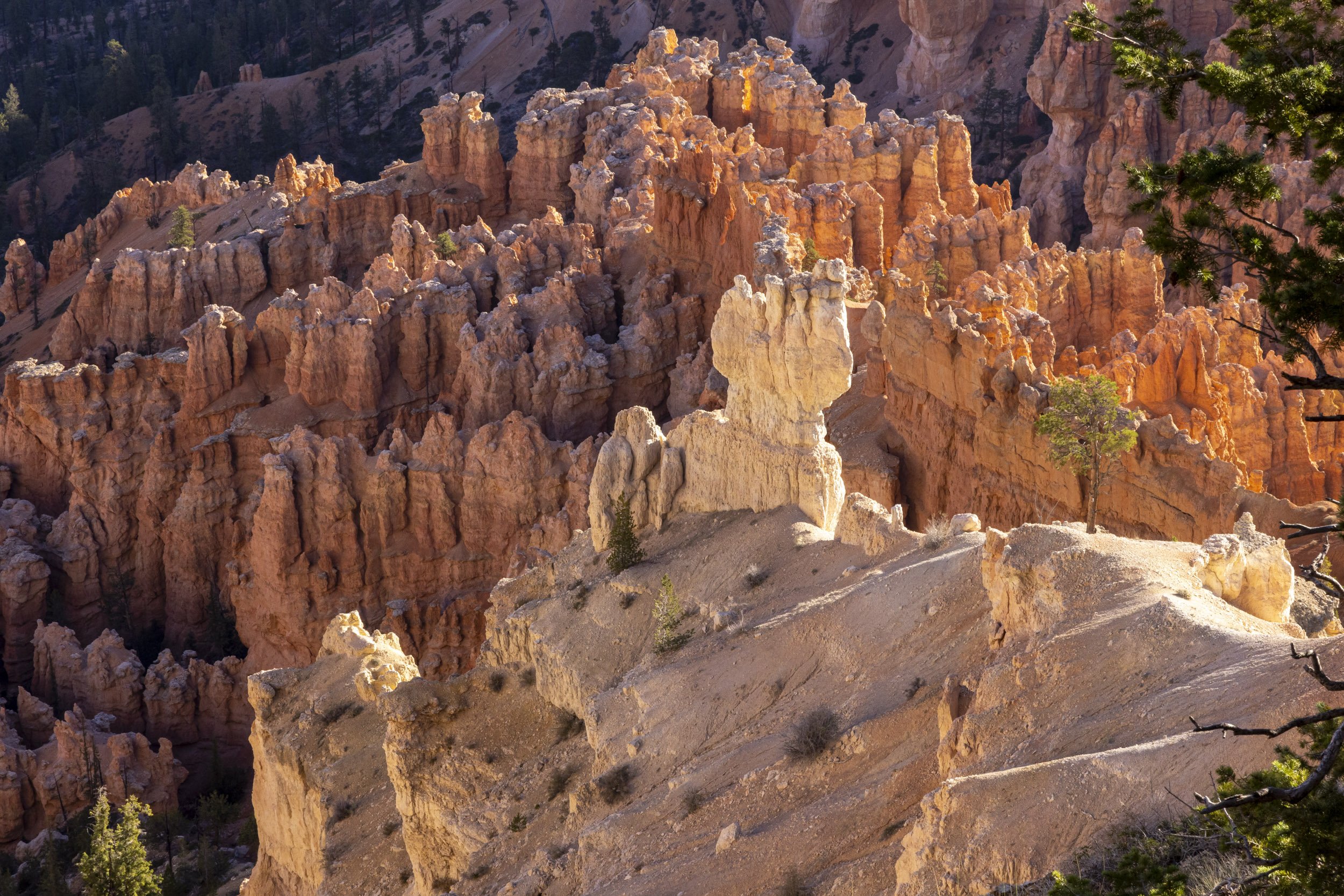 6. Bryce Canyon, Framed 22”x 28" $695.00