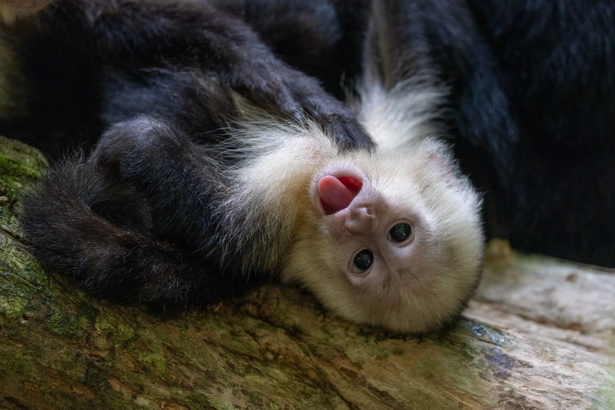 _X2A4658-WEB EXPORT PRESET-2.jpg