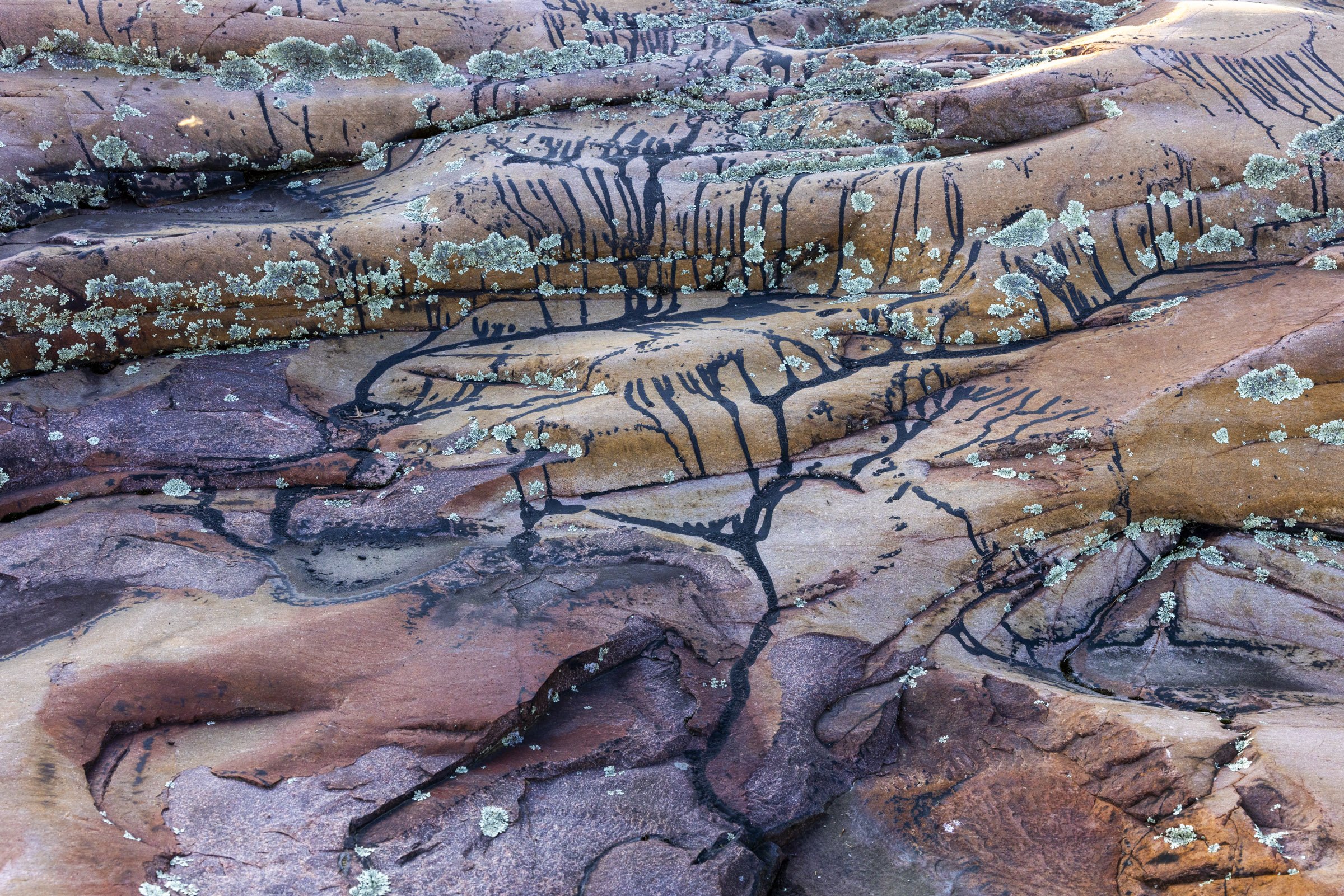 5. Tar Marks Etched into Killarney's Pink Granite Canvas
Awarded People's Choice Award -2024
1839 Awards- International Contest
24" X 34"