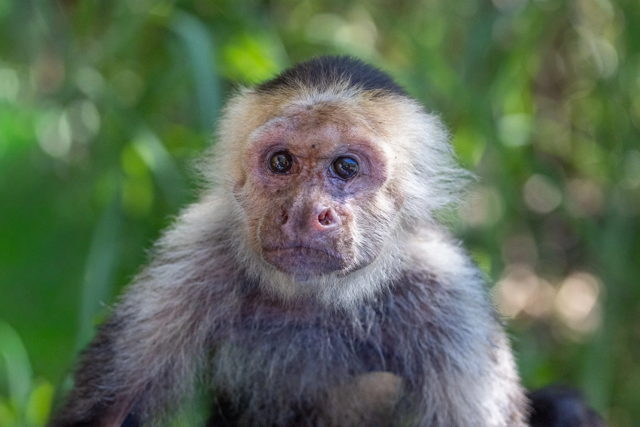 _X2A5455-WEB EXPORT PRESET-3.jpg