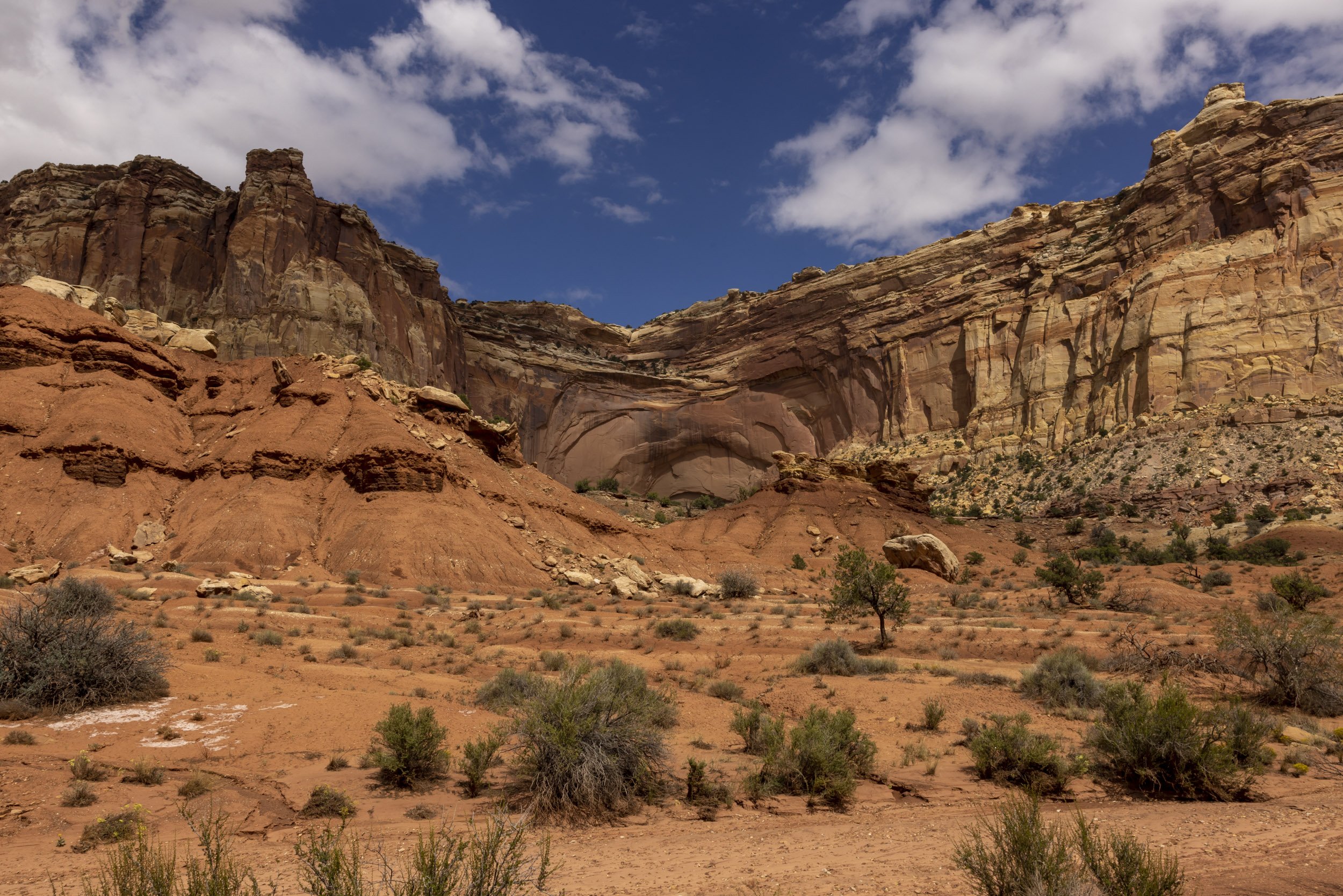 22. Canyonlands National Park, Framed 22”x 28" $695.00