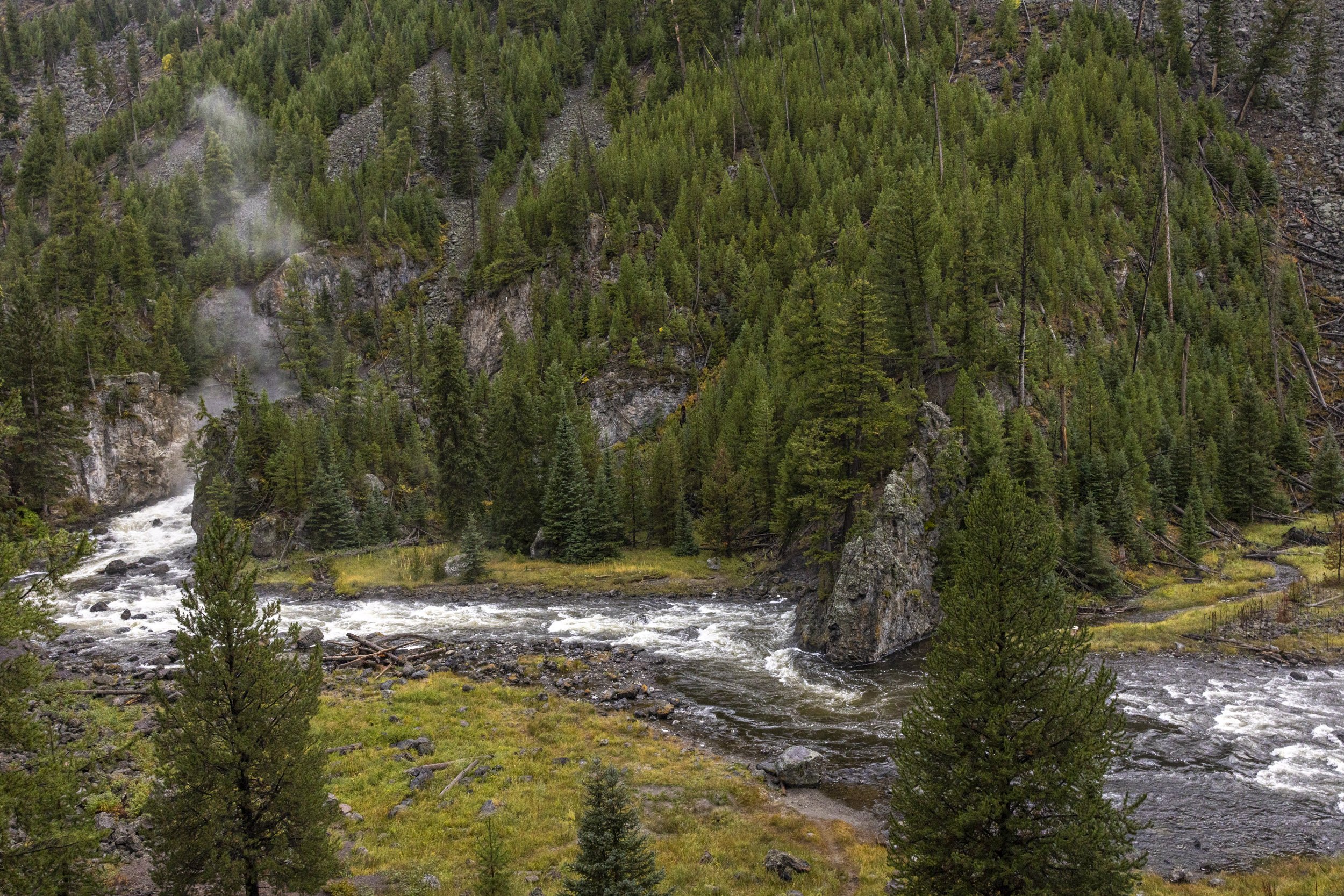 _T9A0867-2.jpg
