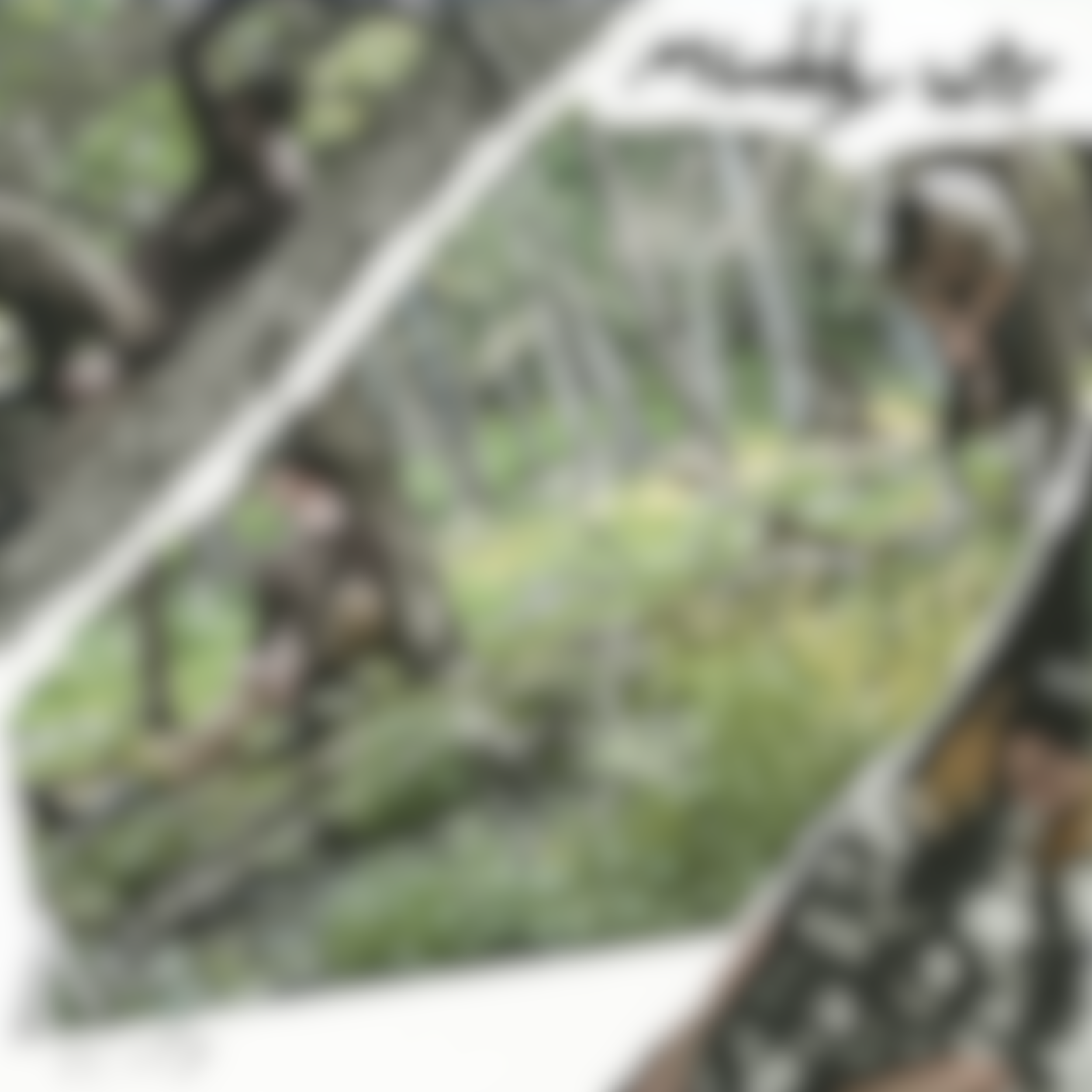 [ART_PART] muddywtr_blurred.png