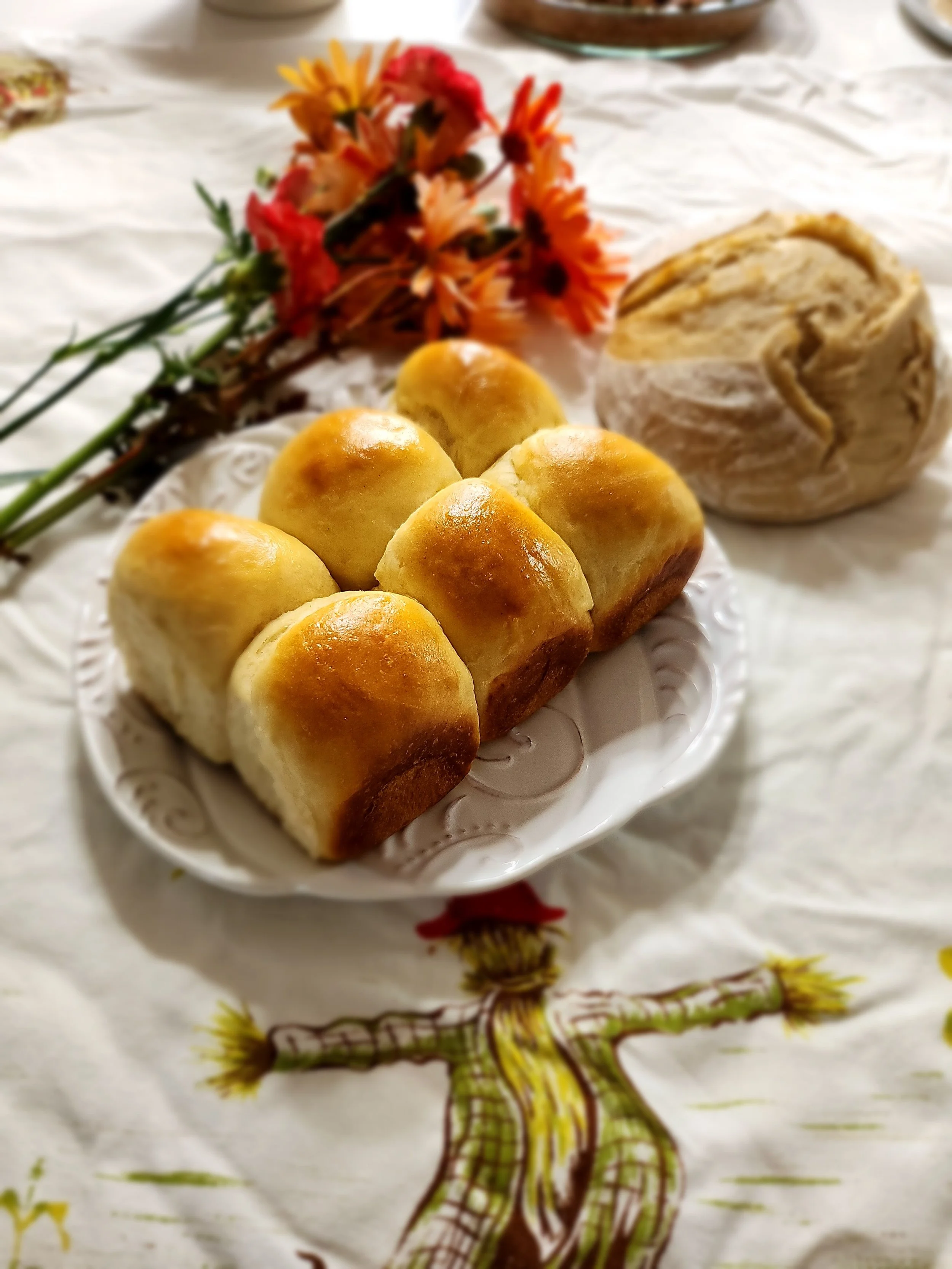 Dinner Rolls
