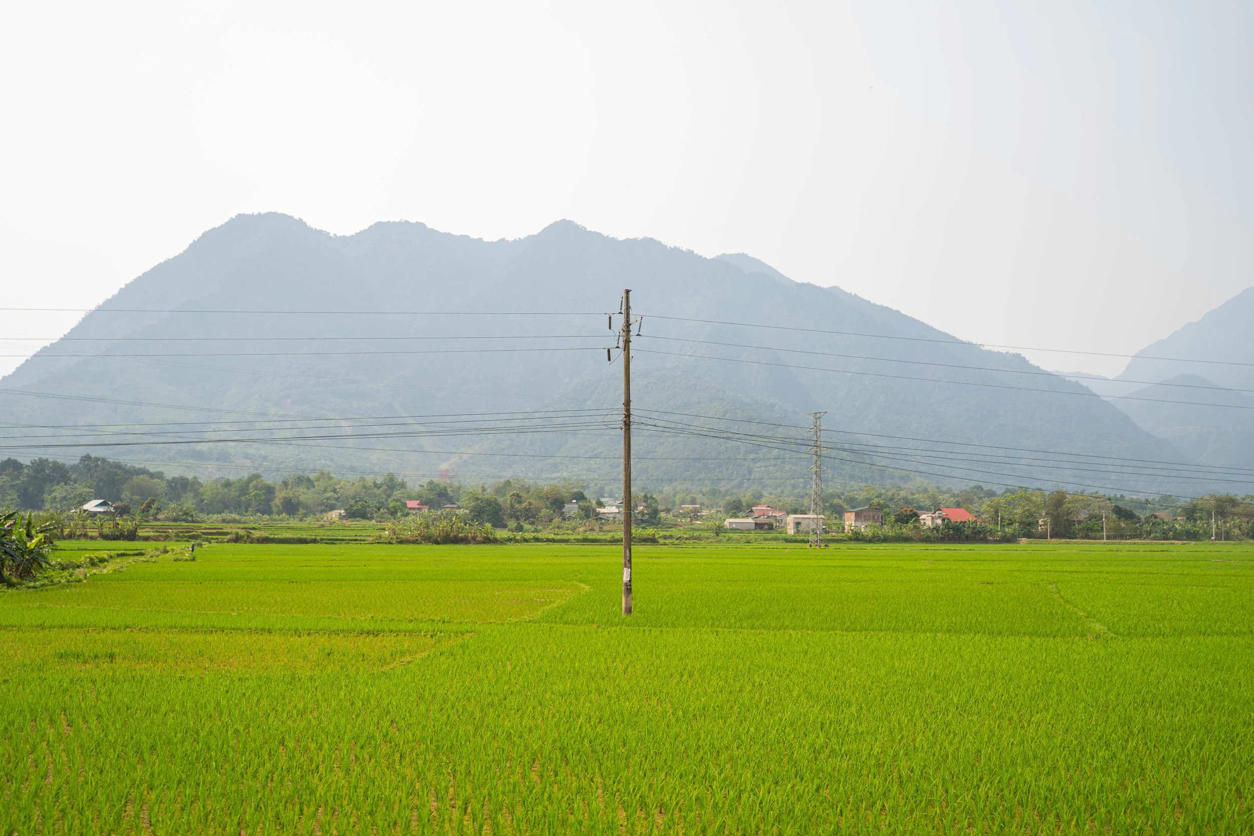 DSC08577.jpg