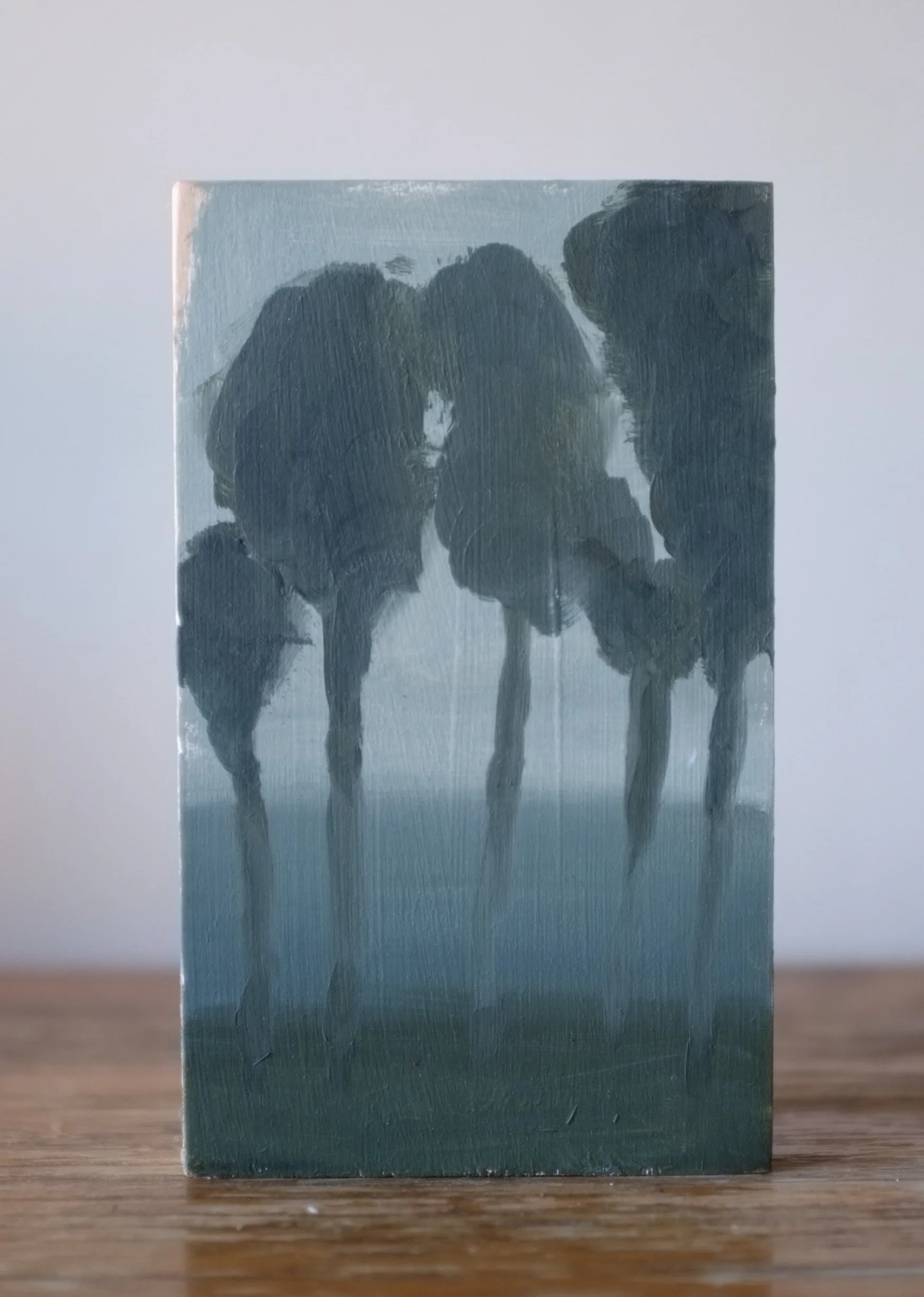 DSCF1852.JPG