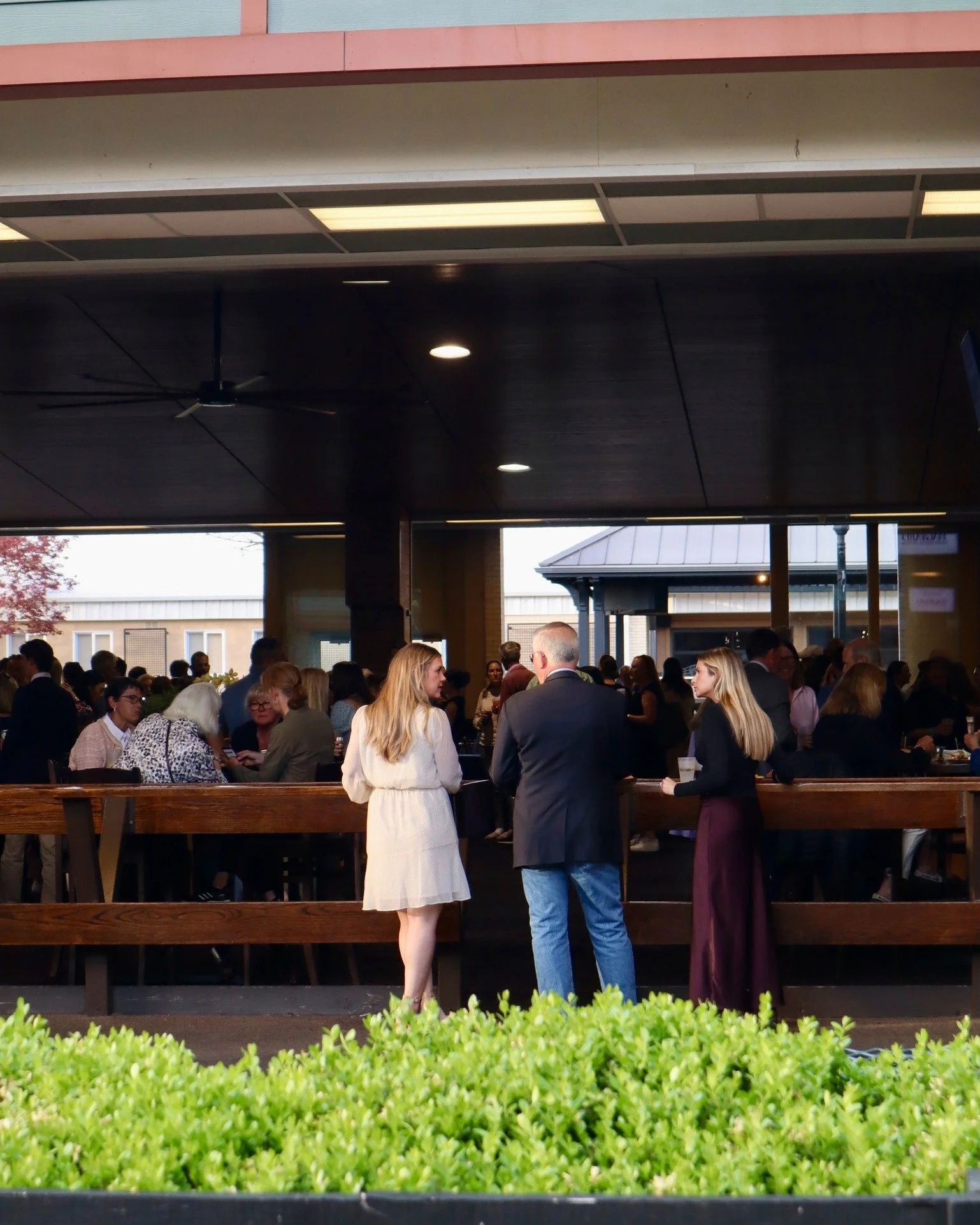 We're counting down the days til these gorgeous nights in the walking ring, when we open the floor to ceiling pocket doors and let a warm breeze flow through.