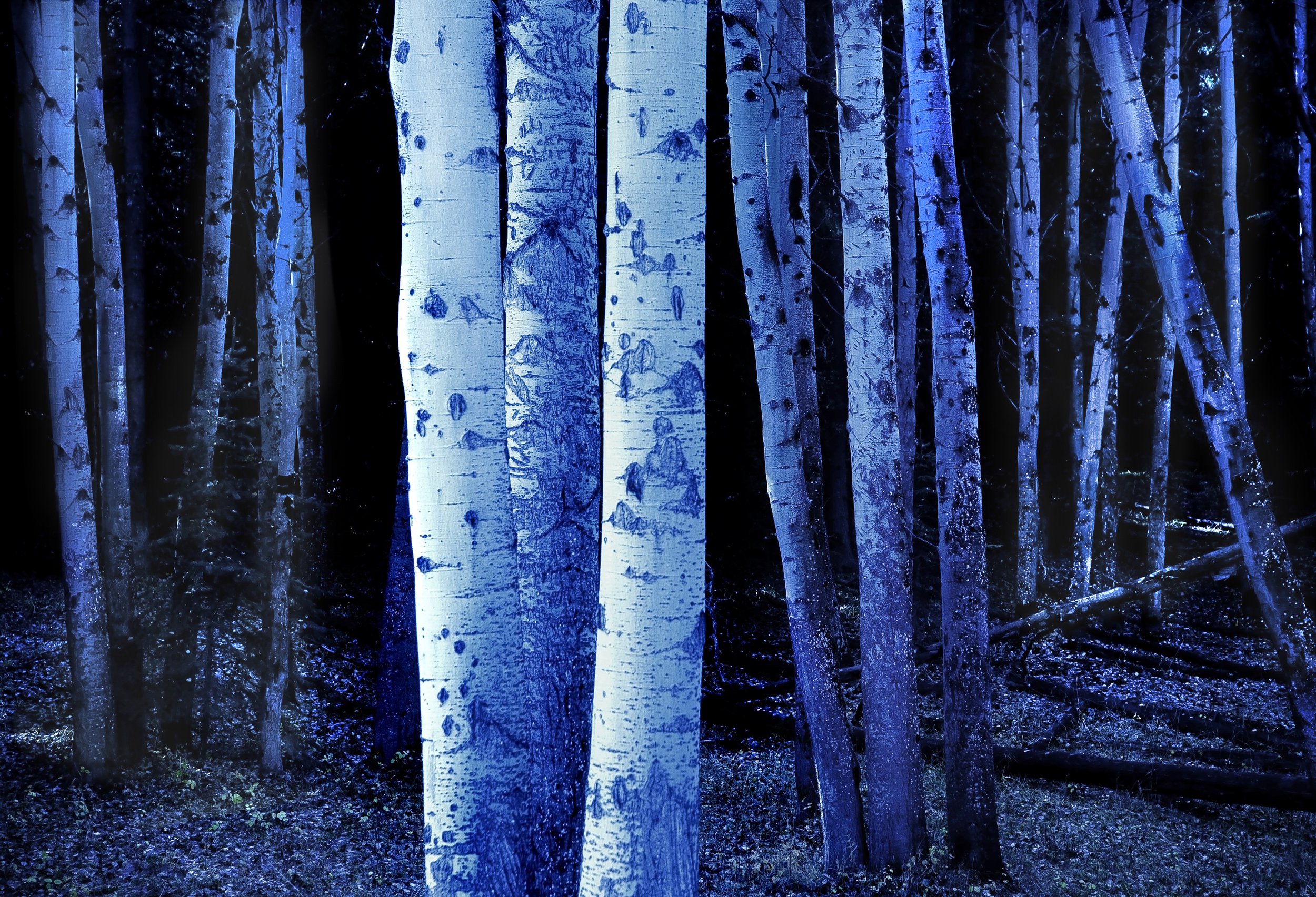 Blue7.jpg