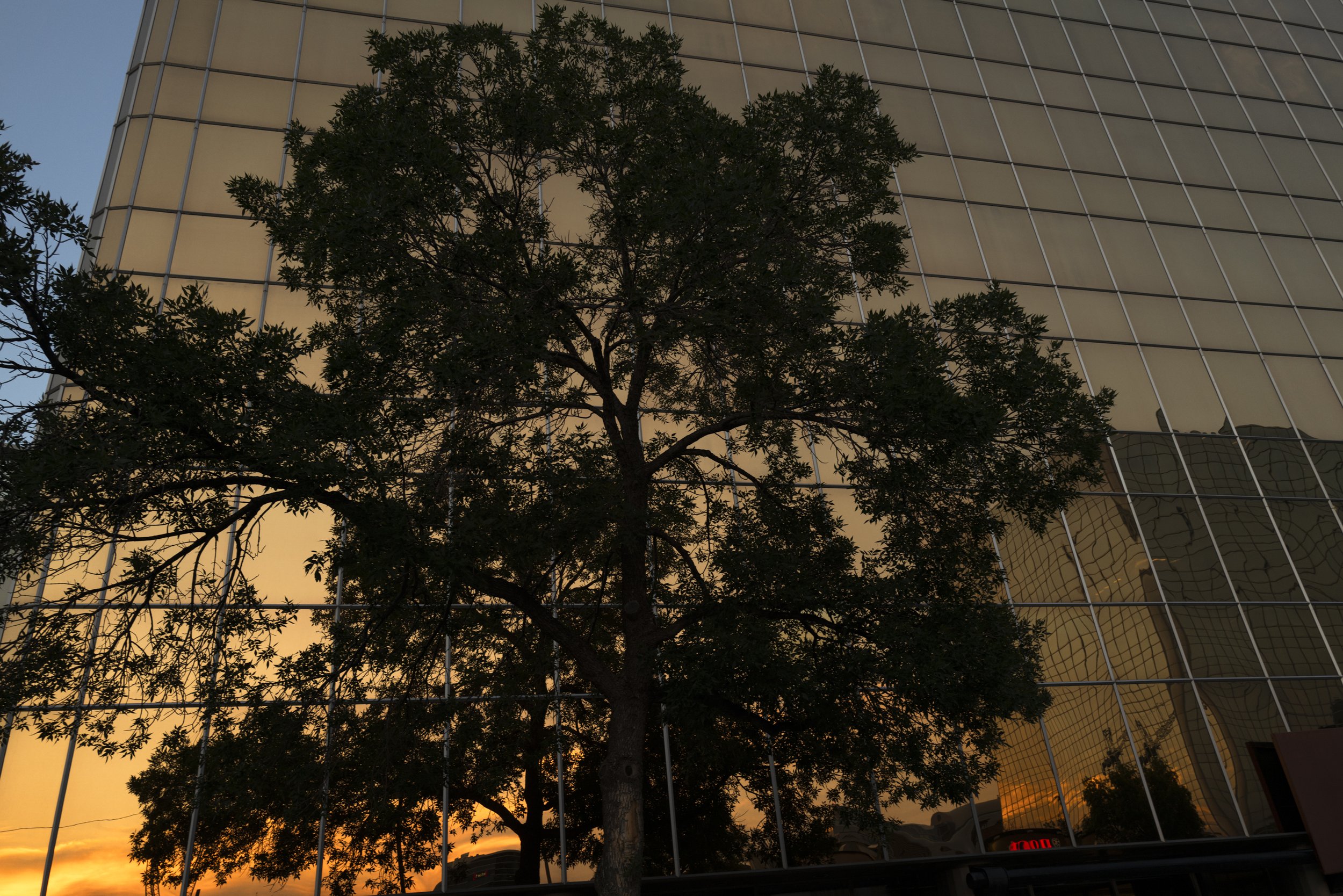 CHL1040500.jpg