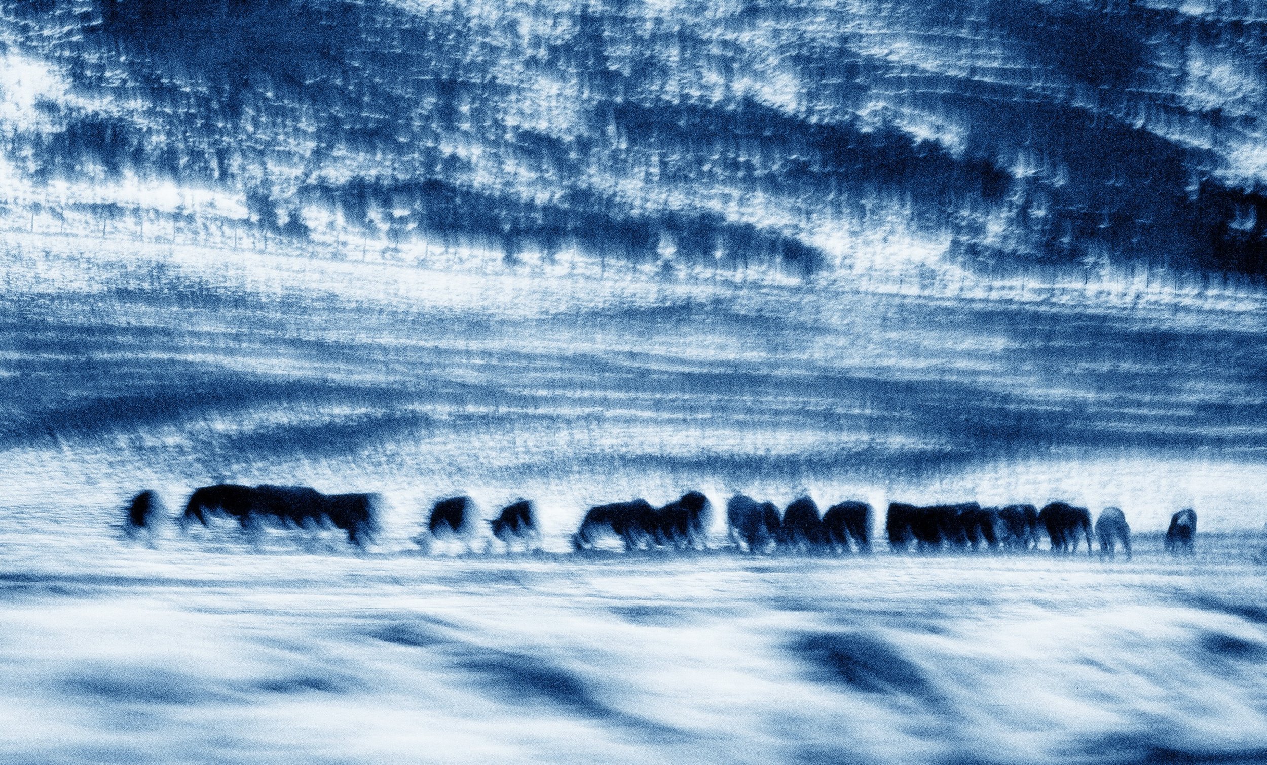 Blue4.jpg