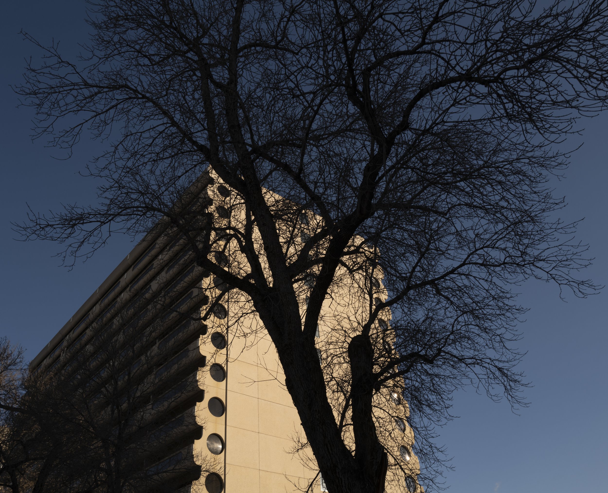CHL1000918.jpg