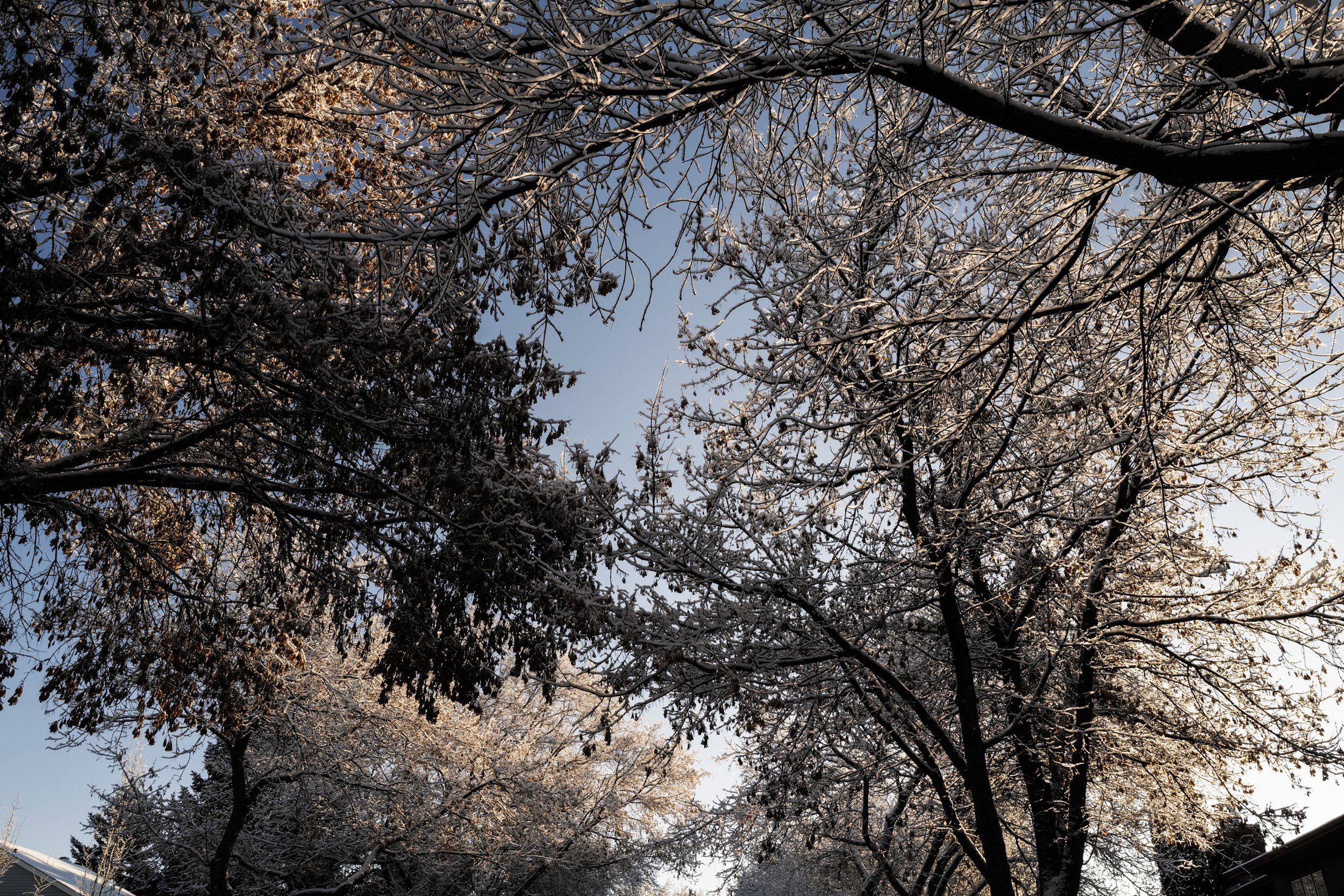 CHComing Home # 5.jpg