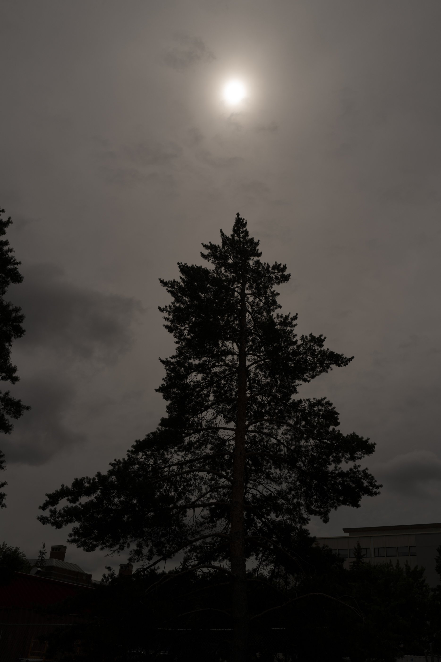 CHL1040050.jpg