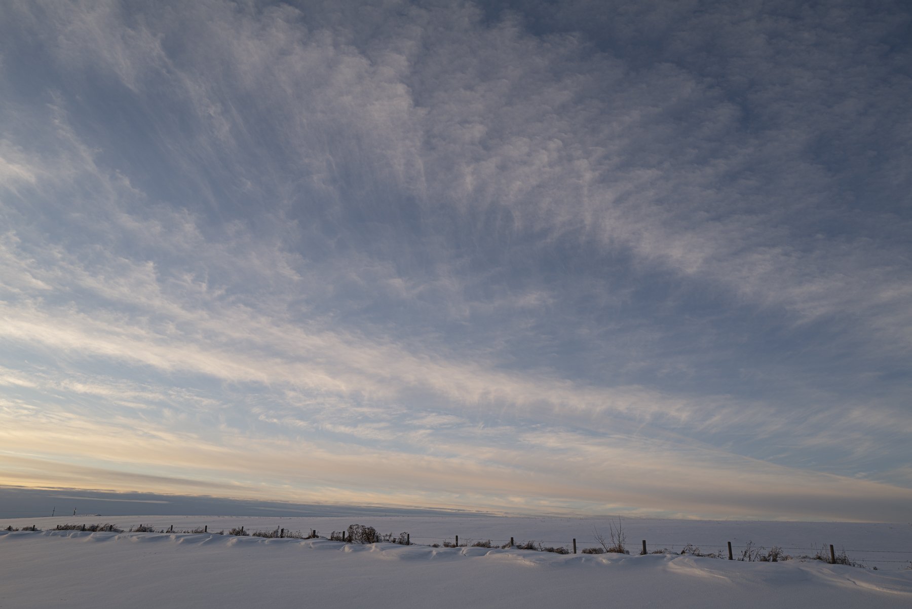 L1000726-2.jpg