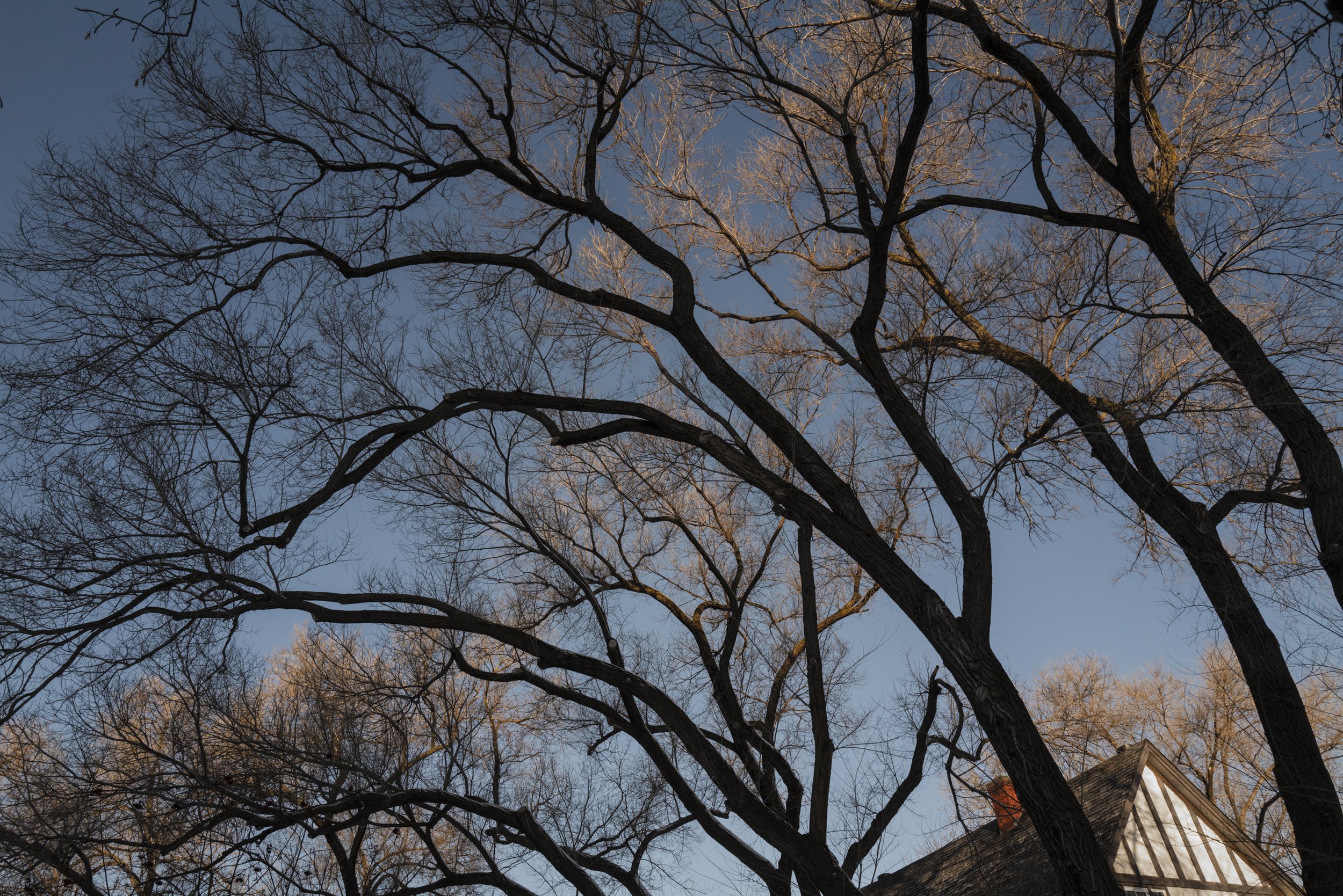CHComing Home # 8.jpg