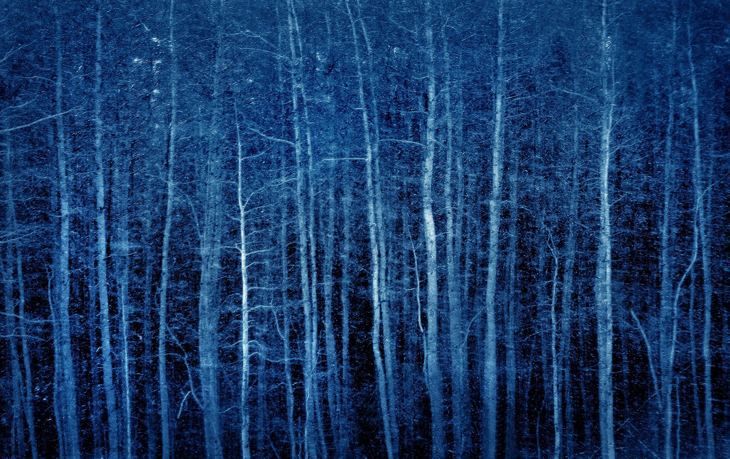 Blue14.jpg