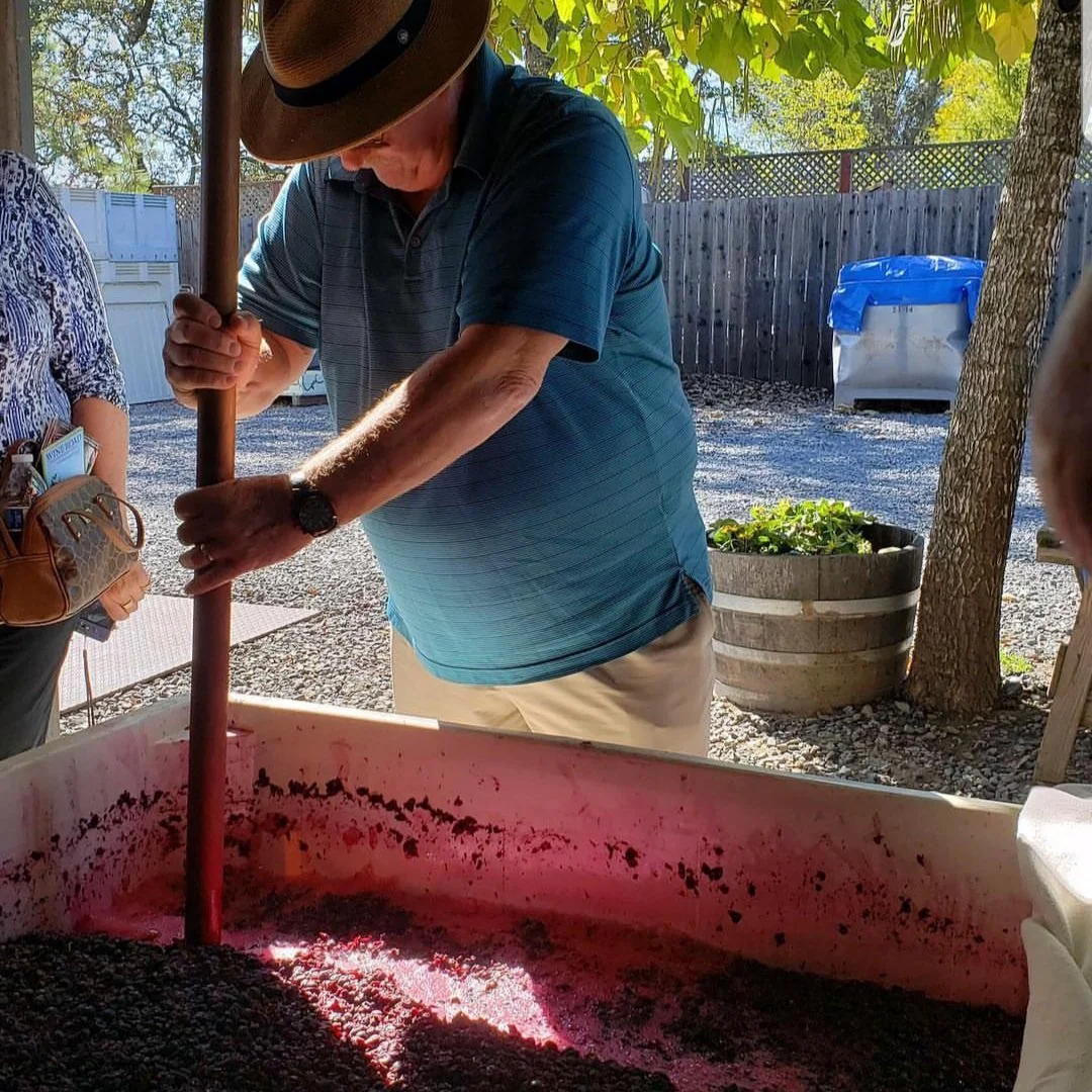 A man wearing a hat and a blue striped polo shirt is stirring a large container of grapes using a long wooden stick, possibly during wine or juice making process.