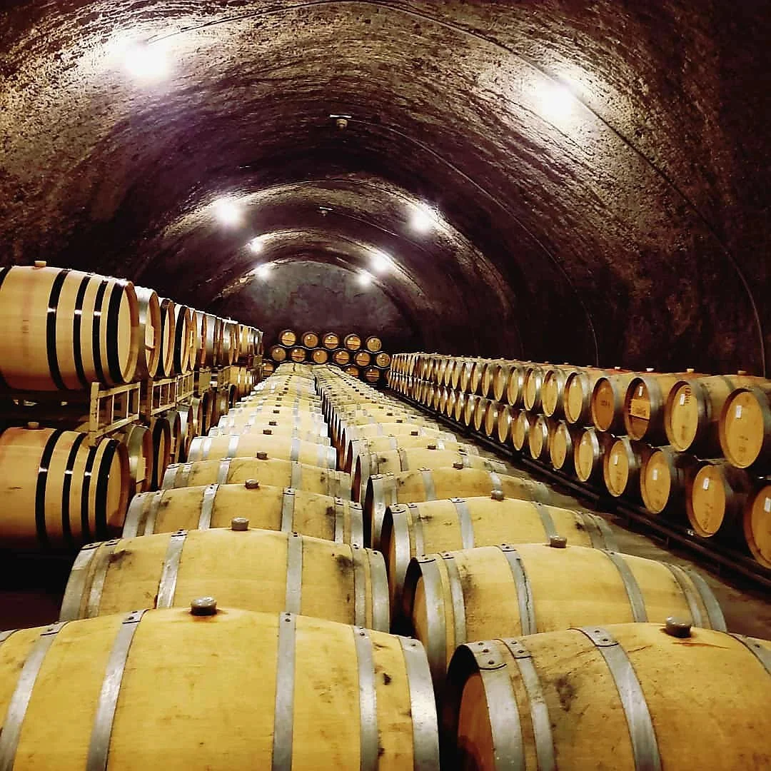 Rows of wine barrels stored in a cellar or warehouse with a dark arched ceiling and dim lighting.