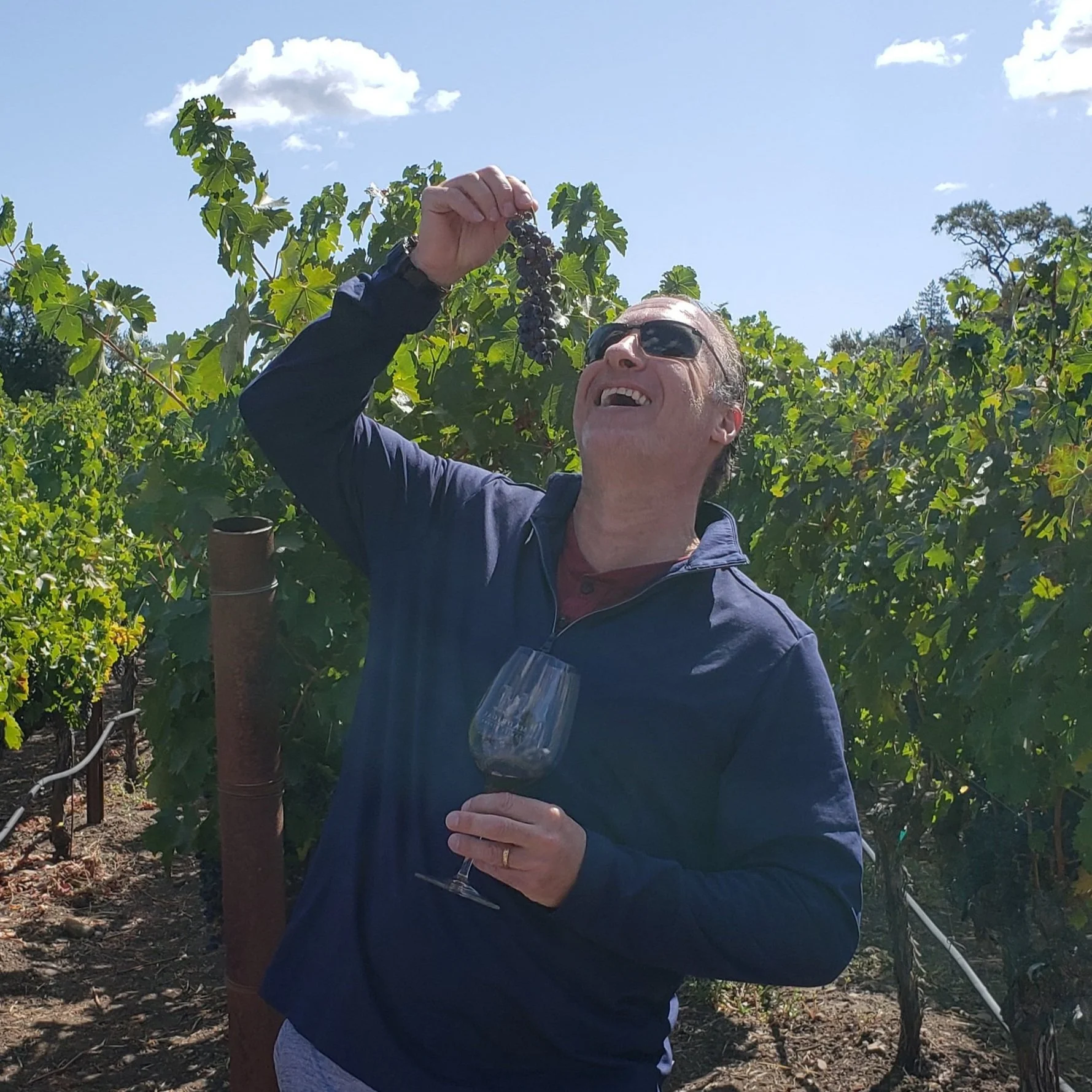 A man wearing sunglasses and a dark jacket, holding a glass of wine in one hand and a bunch of grapes in the other, smiling in a vineyard on a sunny day.