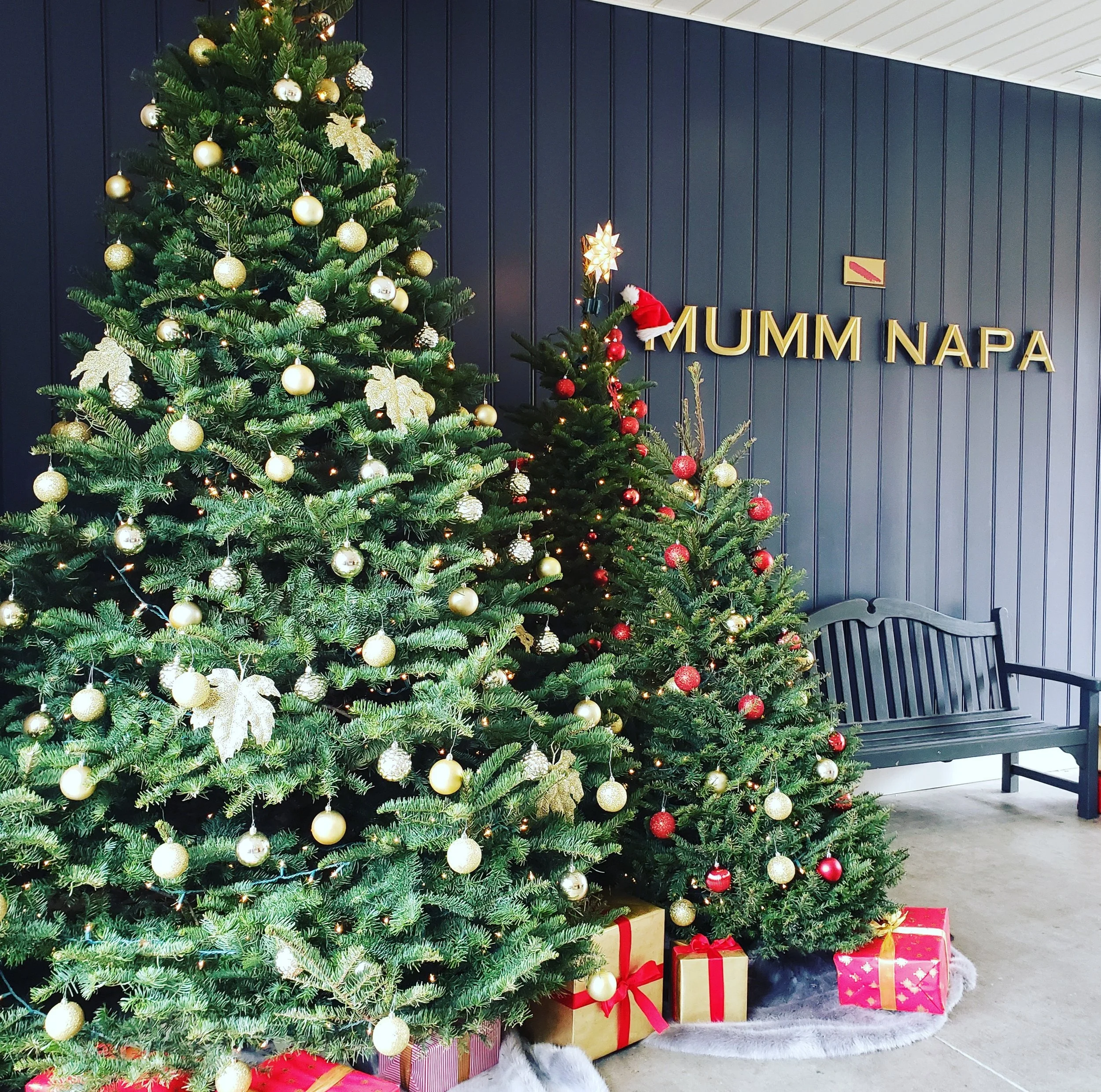 Three decorated Christmas trees with presents underneath, set against a dark blue wall with the logo 'MUMM NAPA' and a bench nearby.