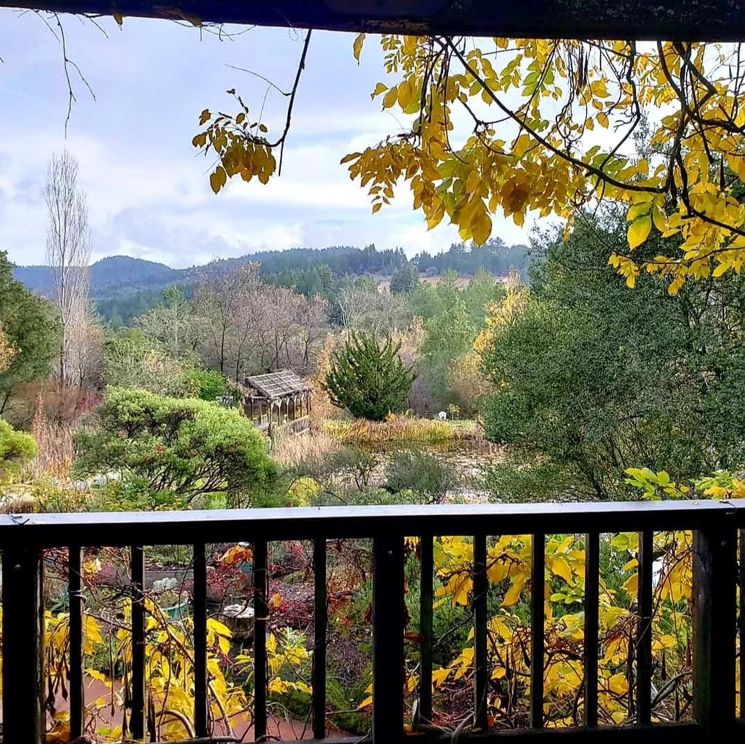 View of a lush garden with various trees and plants, a wooden pavilion, rolling hills in the background, and a partly cloudy sky, seen from a balcony with black railing.