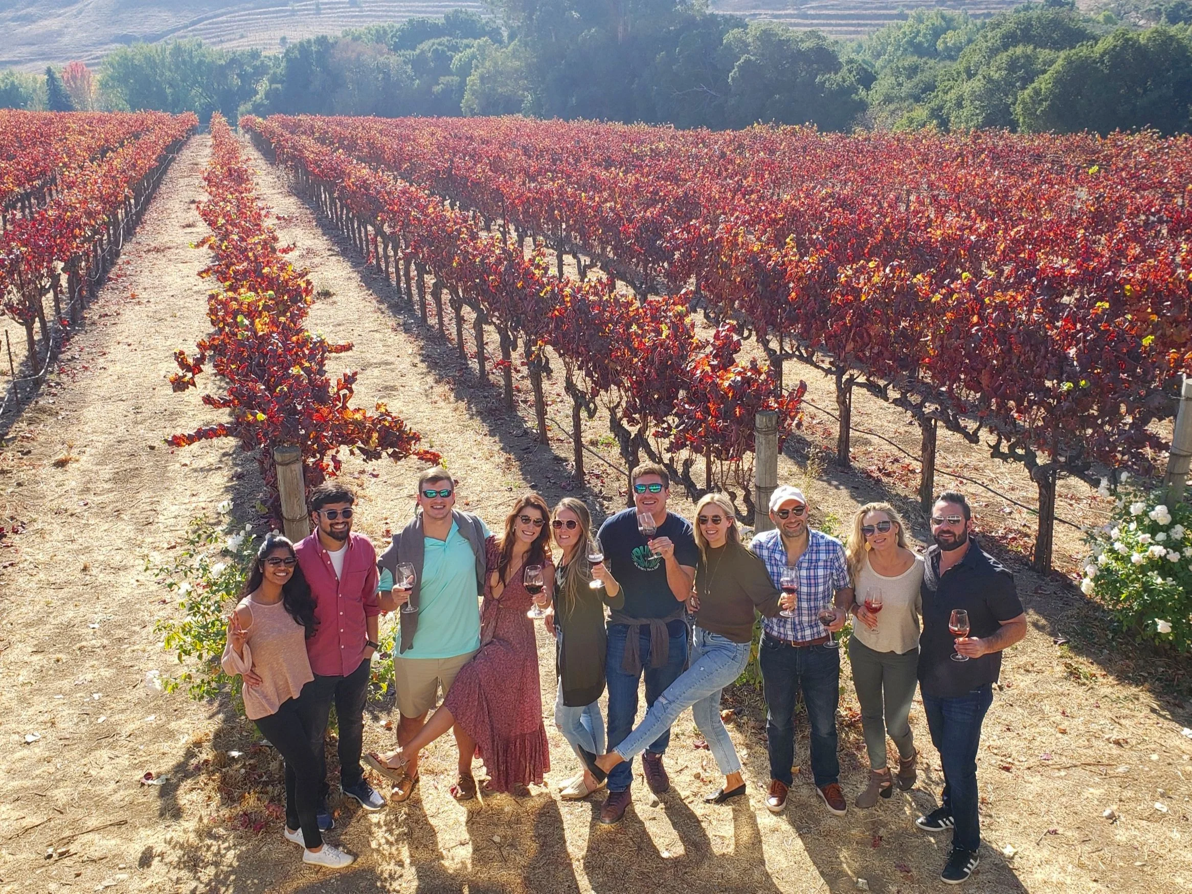 Group of nine people standing in a vineyard holding glasses of wine, with rows of grapevines and autumn foliage in the background.