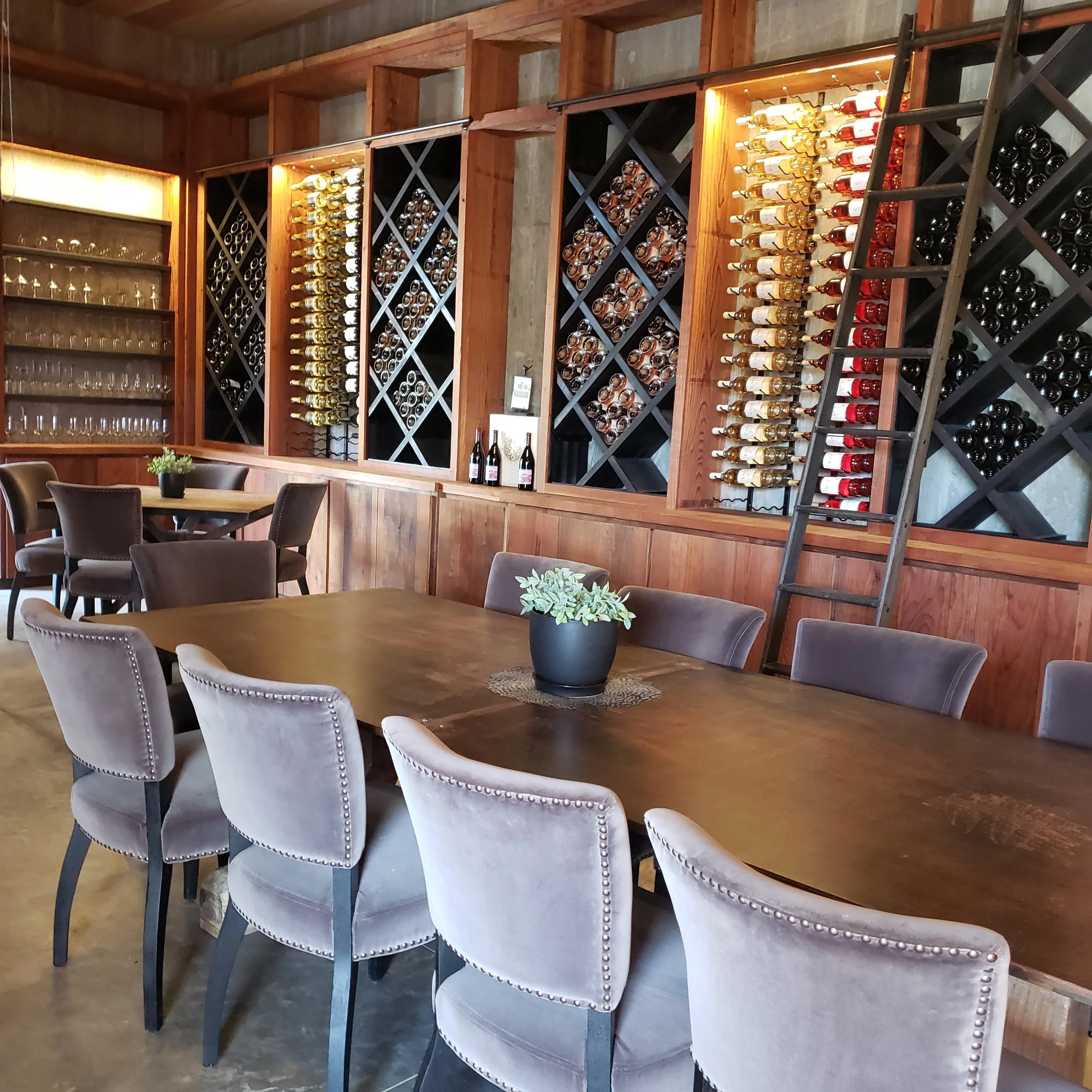 A dining area with a long wooden table surrounded by cushioned chairs, a potted plant in the center, and a wine cellar wall in the background with bottles stored on racks and cream, red, and black wine bottles displayed.