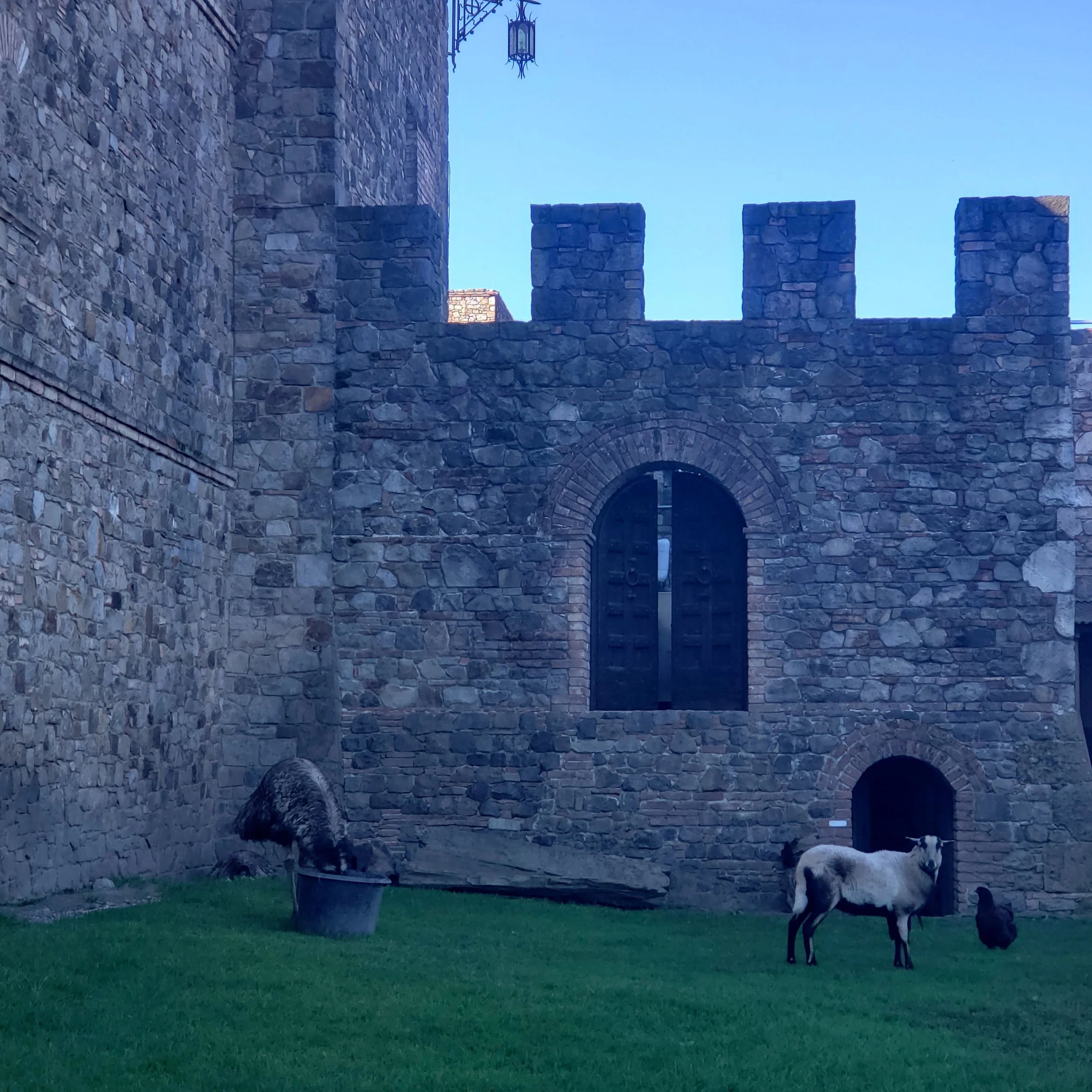 Stone castle wall with arched black door, crenellations at top, and a window. Two goats and a chicken on grass in front of the wall.