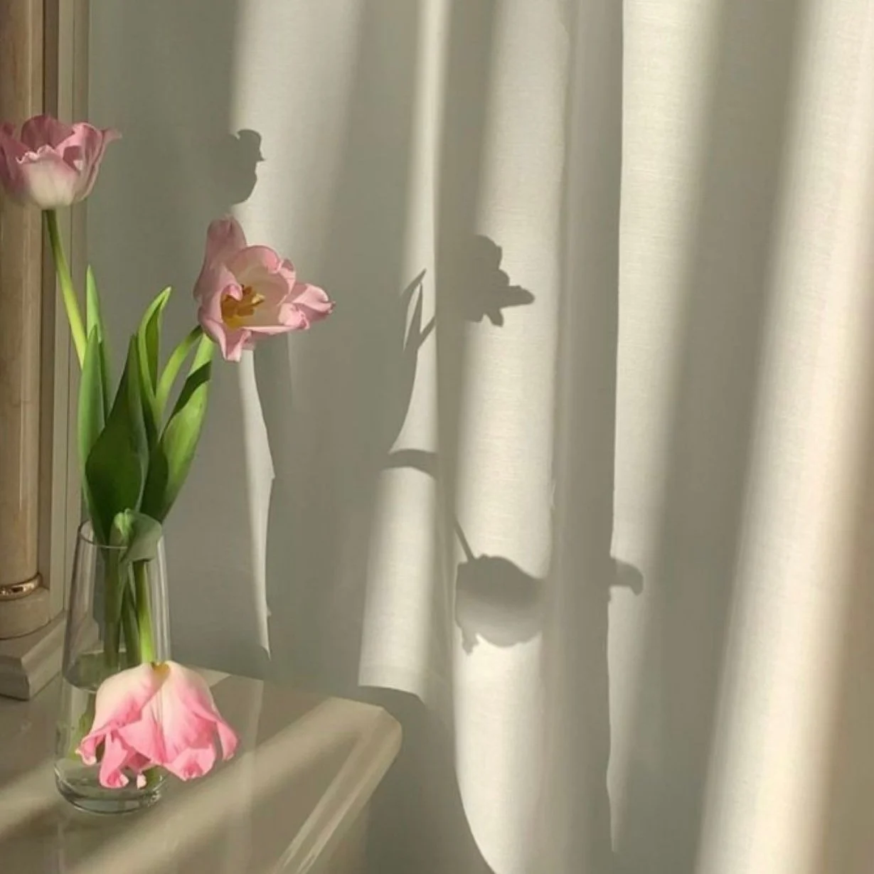 Pink tulips in a glass vase casting shadows on a white curtain.