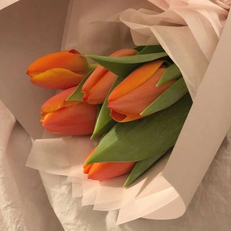 Bouquet of orange tulips wrapped in soft, light-colored paper