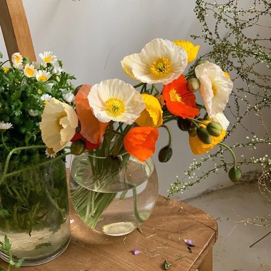 Vase with colorful poppies on a wooden table next to daisies in another jar, with branches in the background.