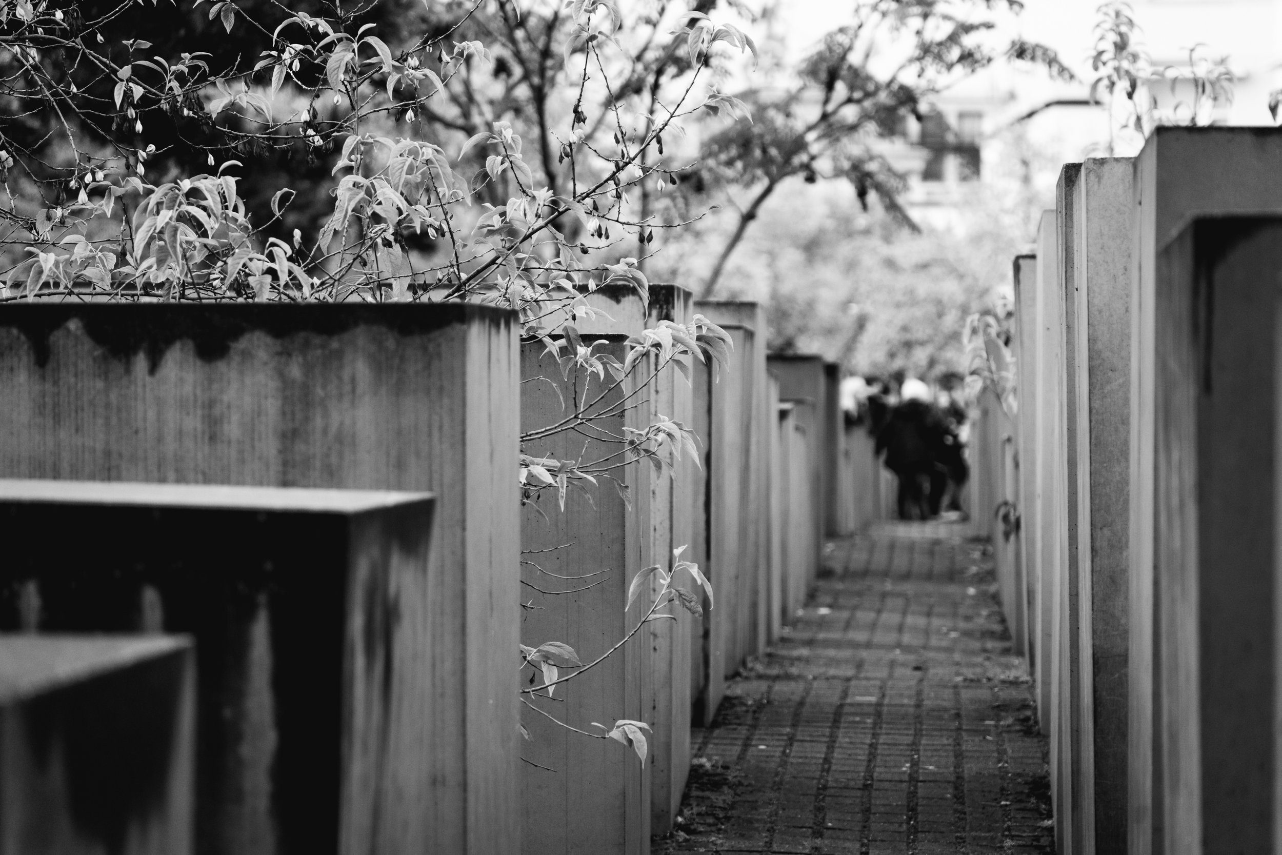 A black and white photo of a narrow pathway with wooden fences and plants on the side, with a couple of people walking in the distance.