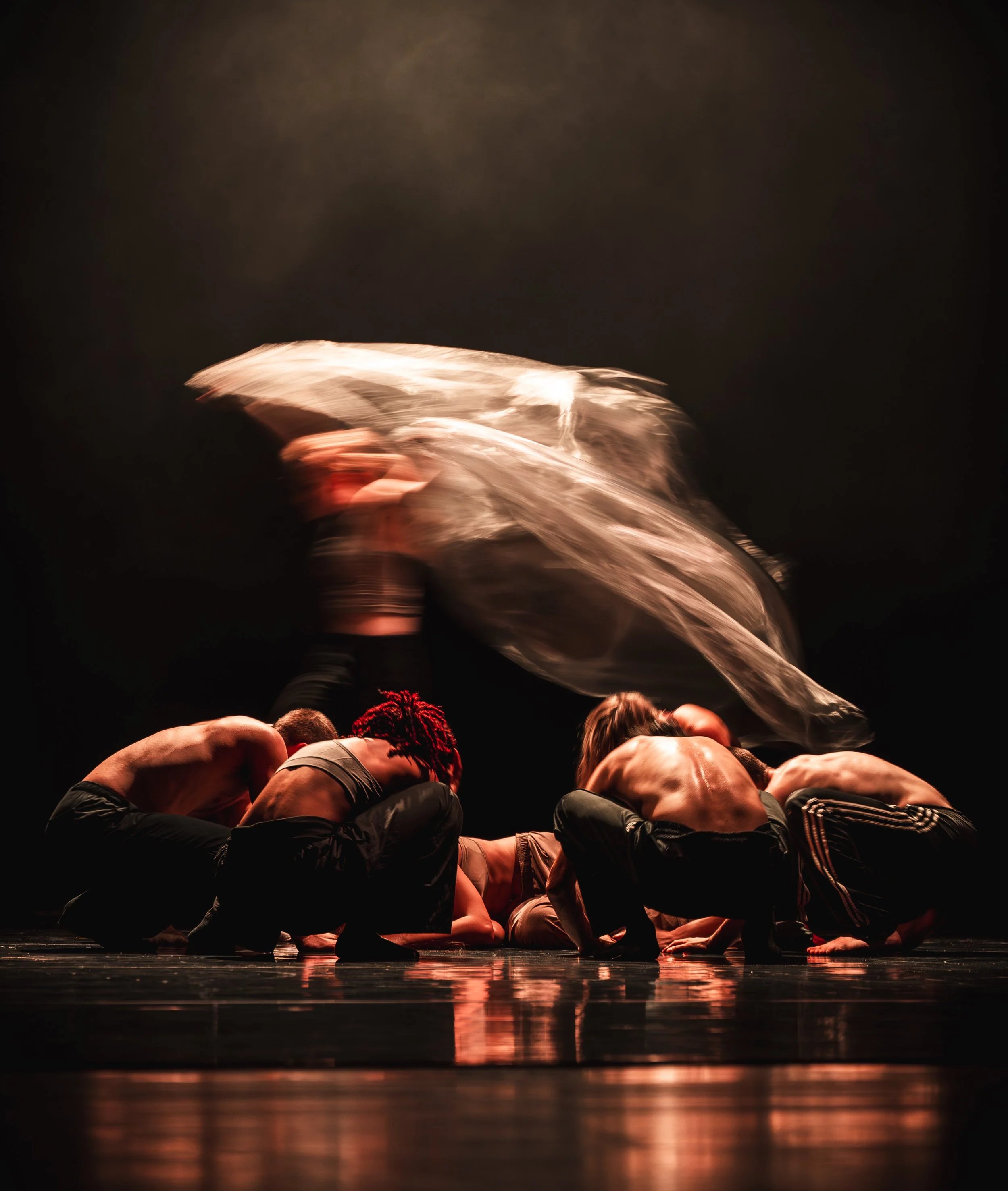 Dickson Mbi's Tellus R&D, 2024