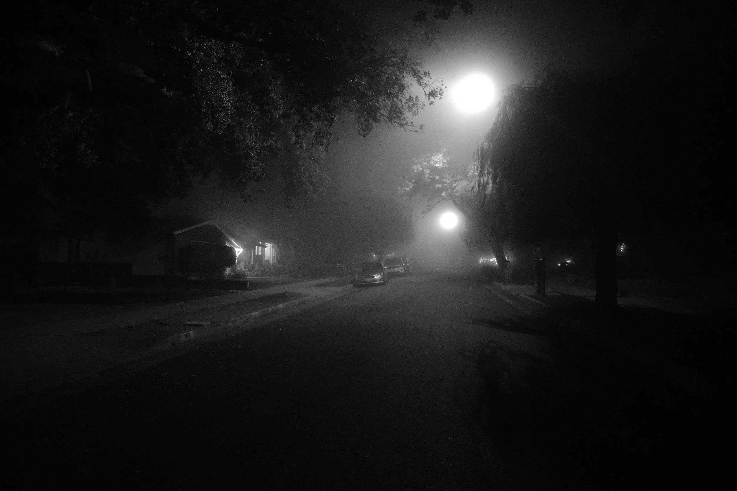 DSCF0841.jpg
