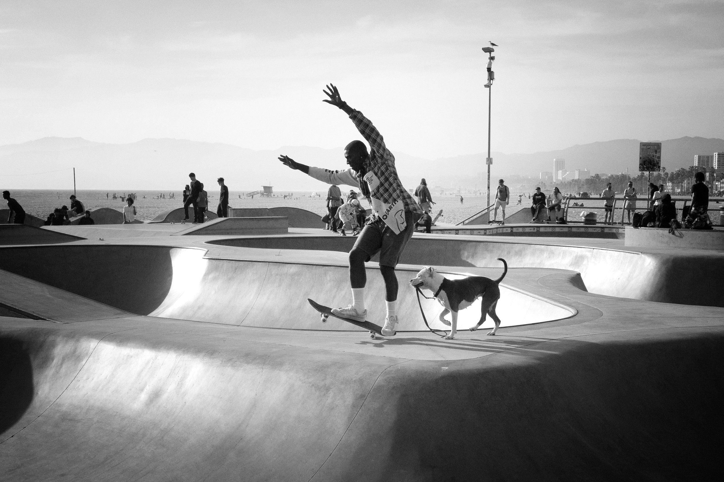 Venice Beach Skate Park