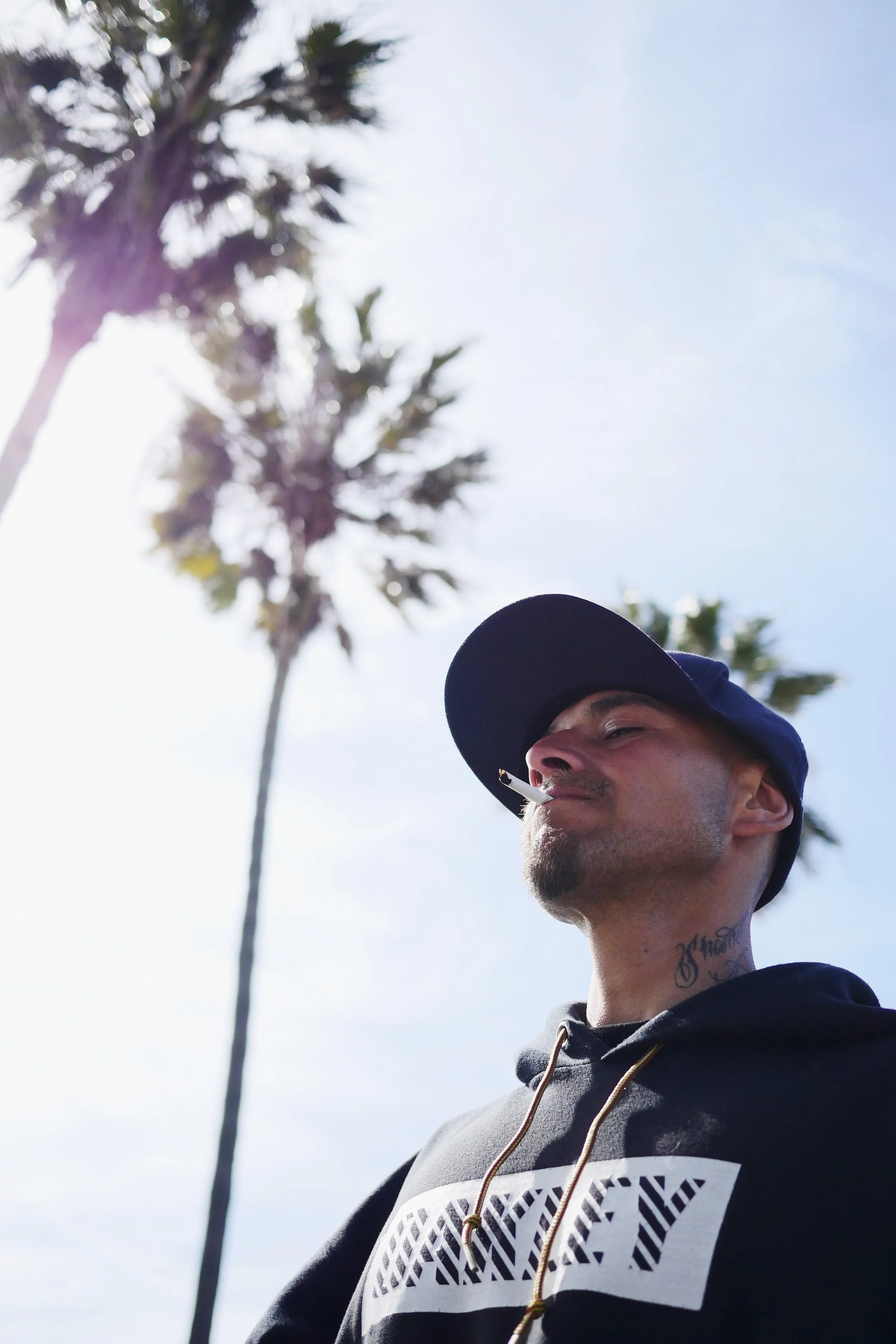 Venice Beach