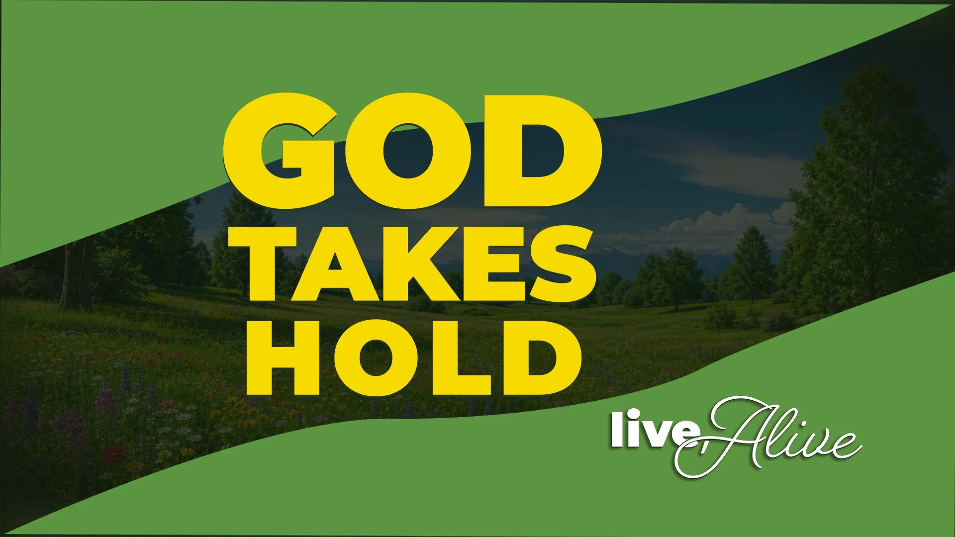 Live, Alive: God Takes Hold