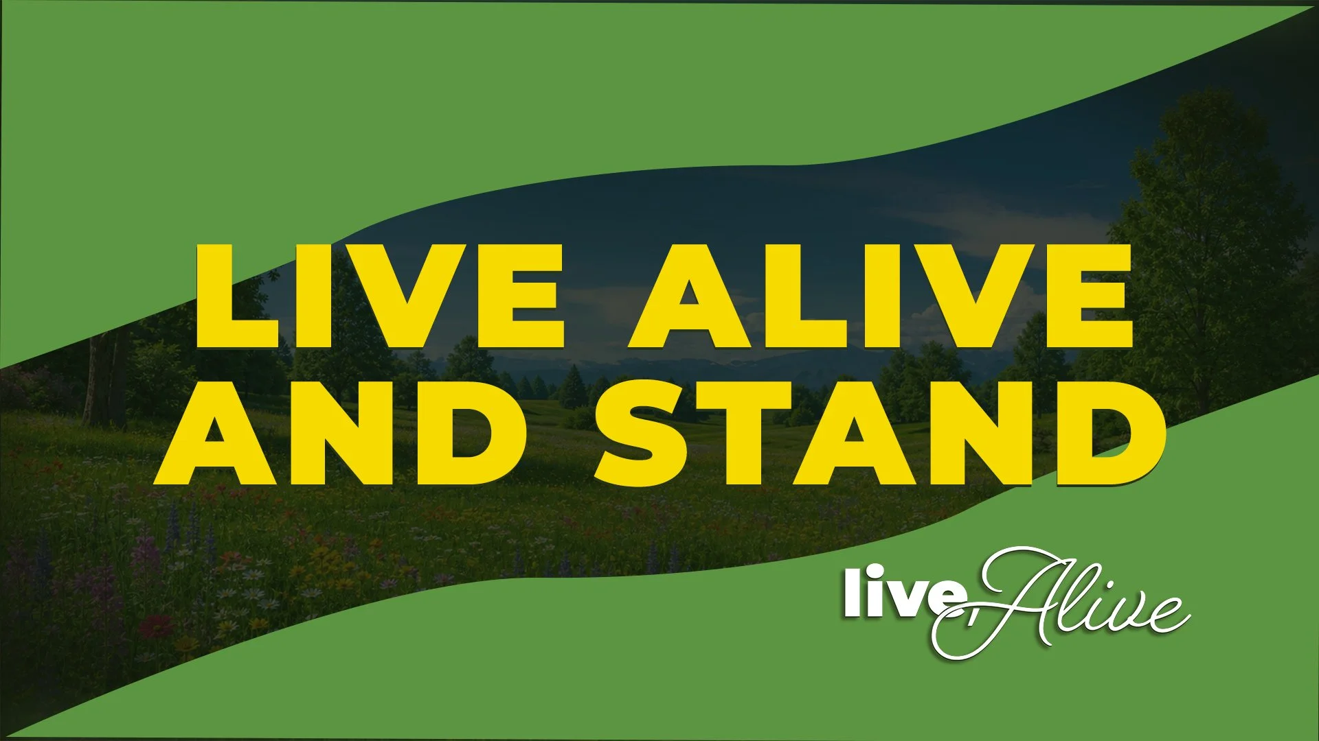 Live, Alive: Live Alive and Stand